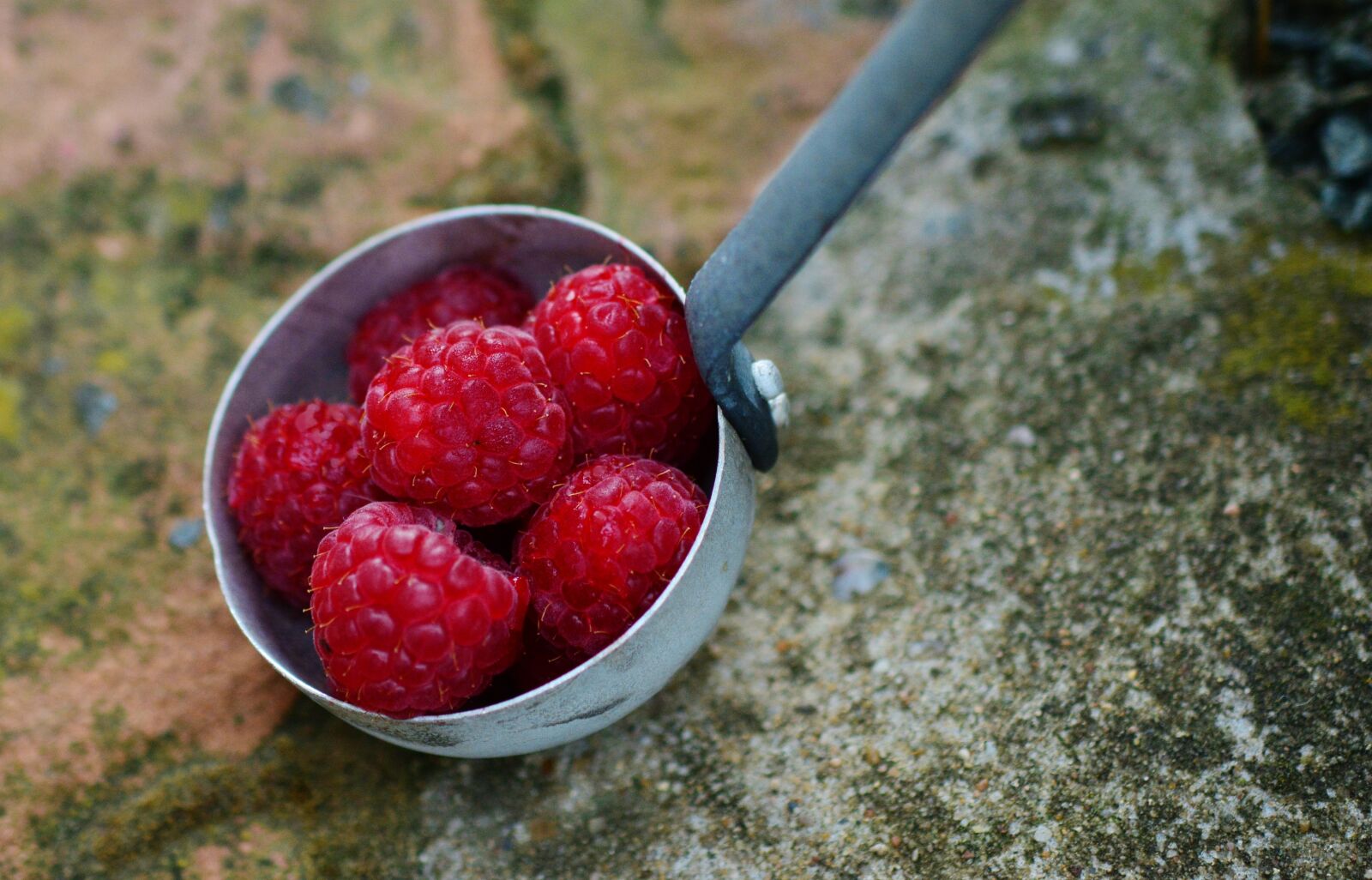 Nikon D5200 sample photo. Raspberries, fruits, fruit photography
