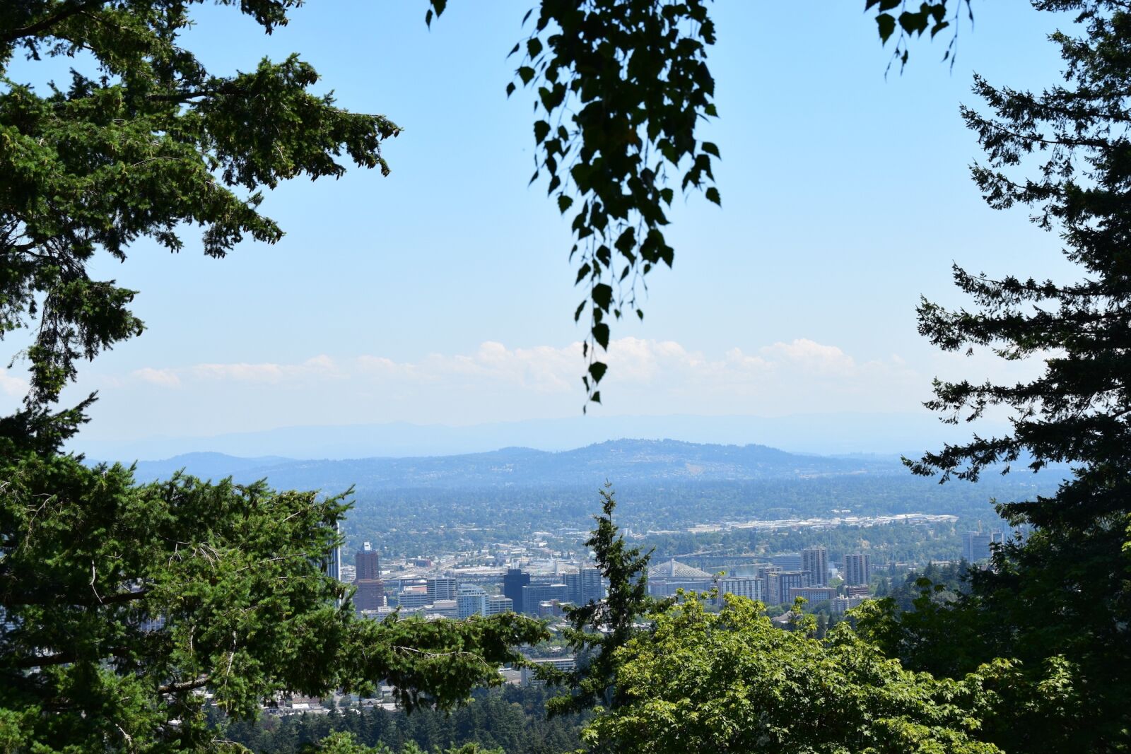 Nikon D5300 sample photo. Urban scenery, portland, trees photography