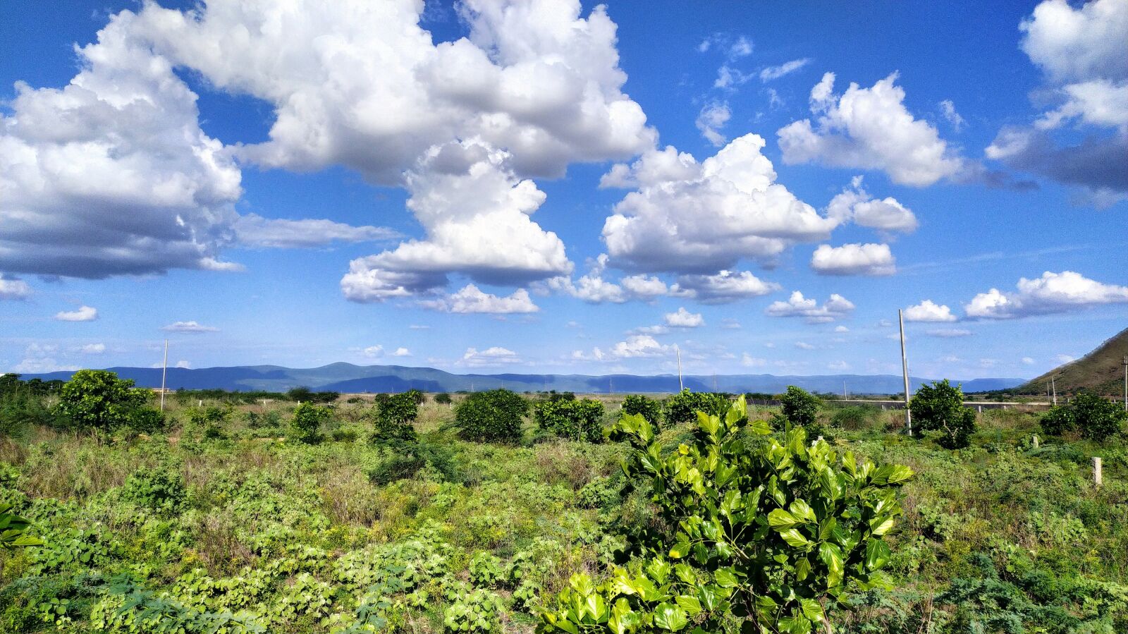 Xiaomi Redmi Note 8 sample photo. Nature, sky, nature and photography