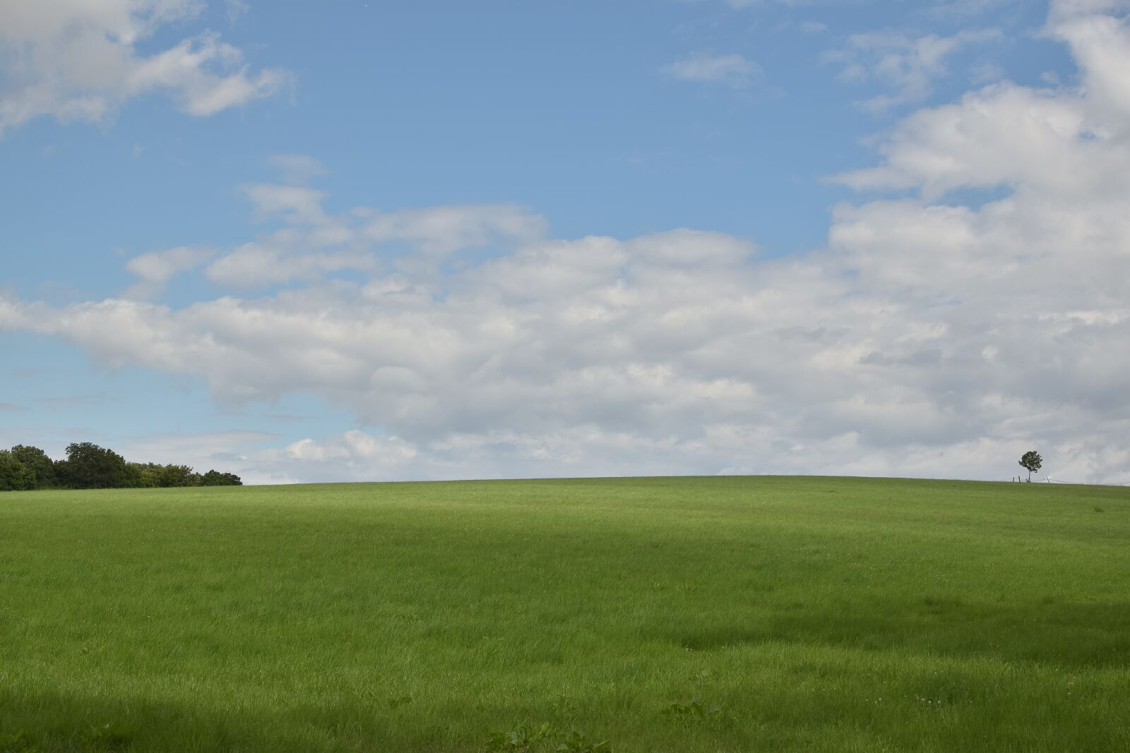 Nikon D5300 sample photo. Landscape, meadow, sky photography