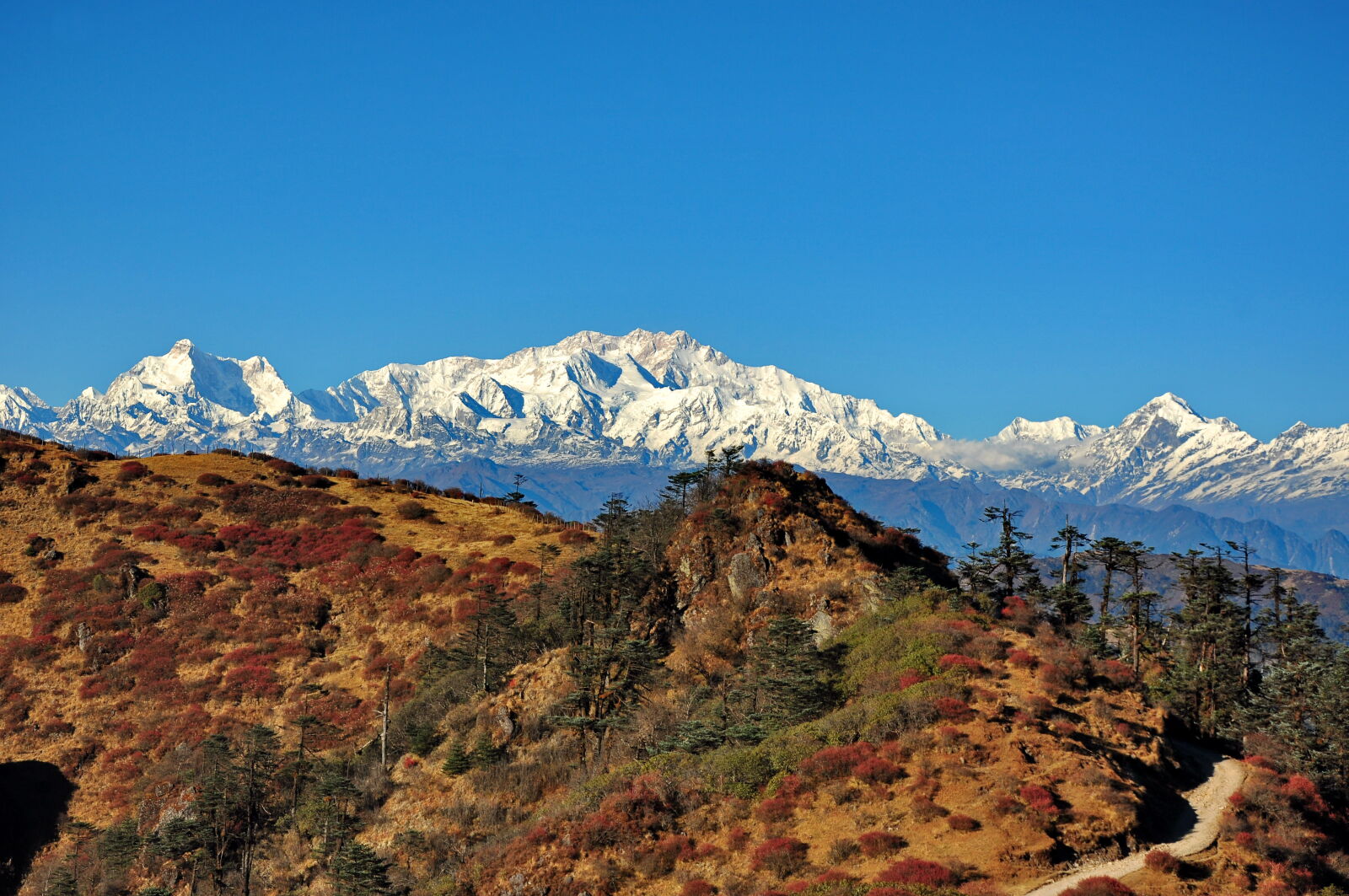 Nikon D90 sample photo