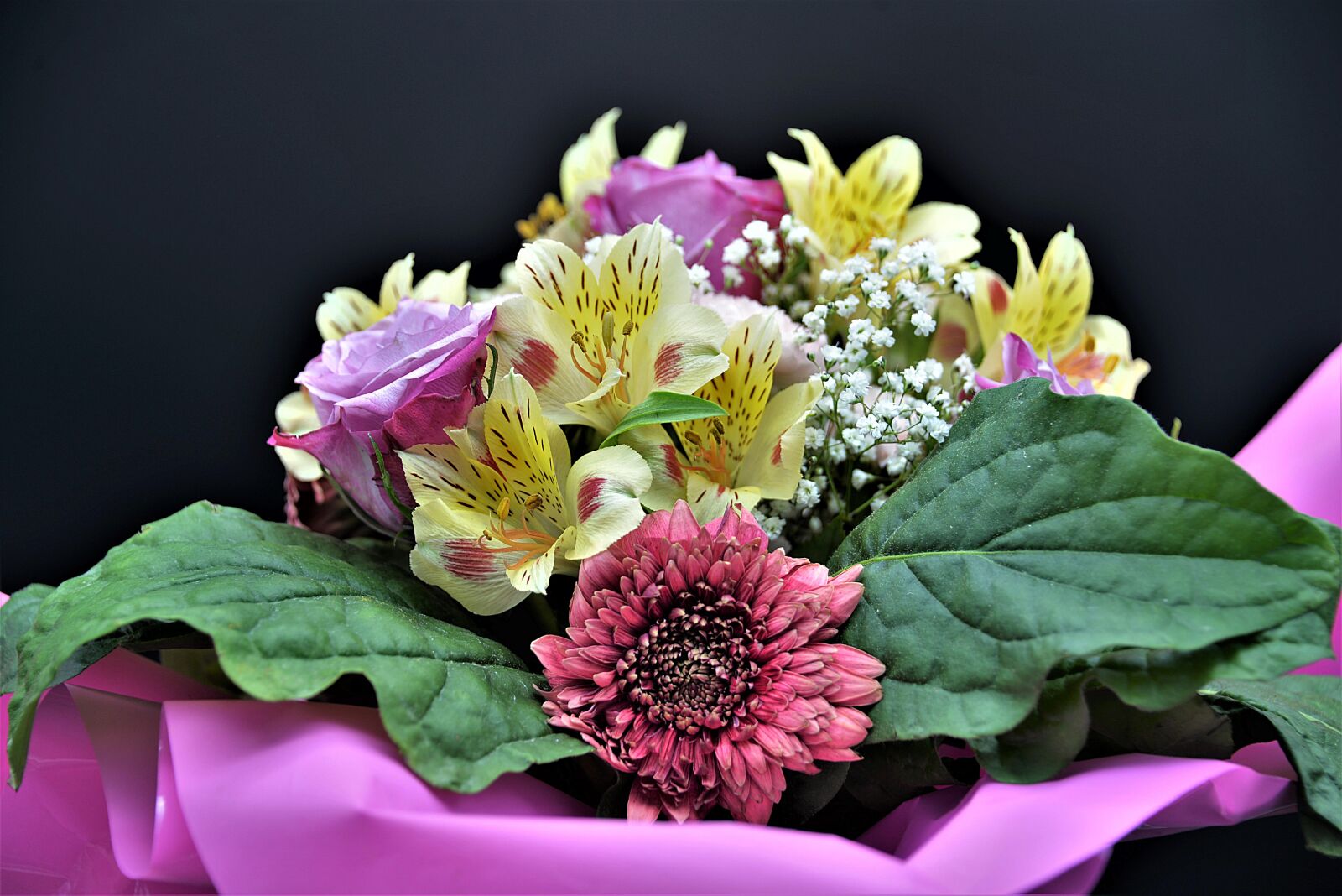 Nikon D610 sample photo. Bouquet, colorful, closeup photography