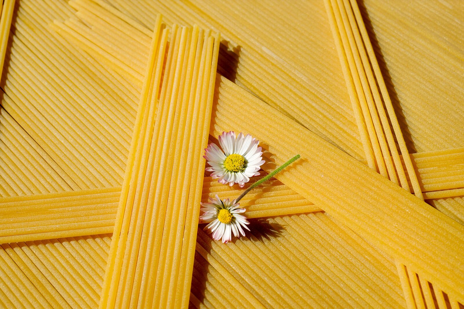 Fujifilm XF 35mm F1.4 R sample photo. Spaghetti, noodles, pasta photography
