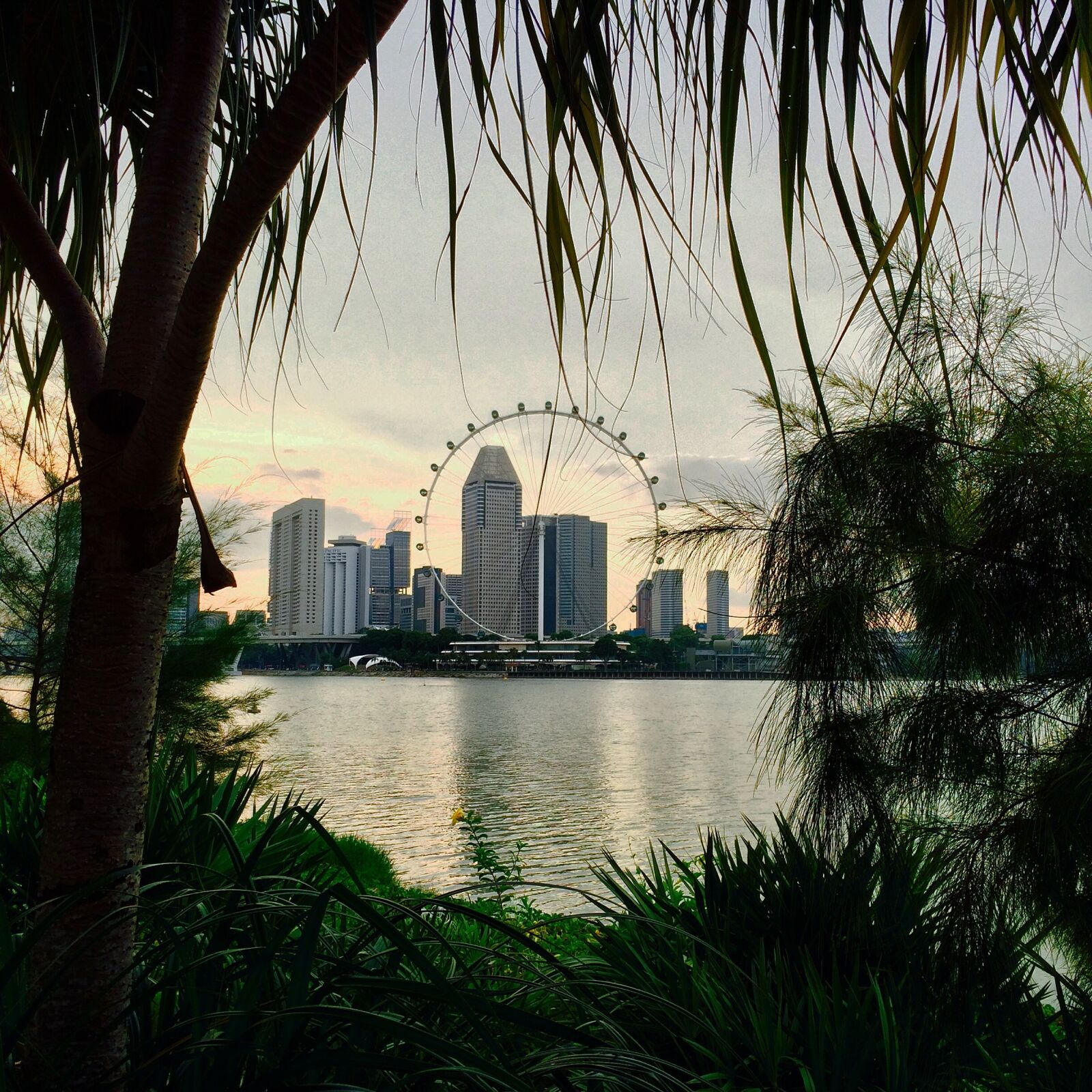 iPhone 5s back camera 4.15mm f/2.2 sample photo. Outdoors, nature, landscape photography