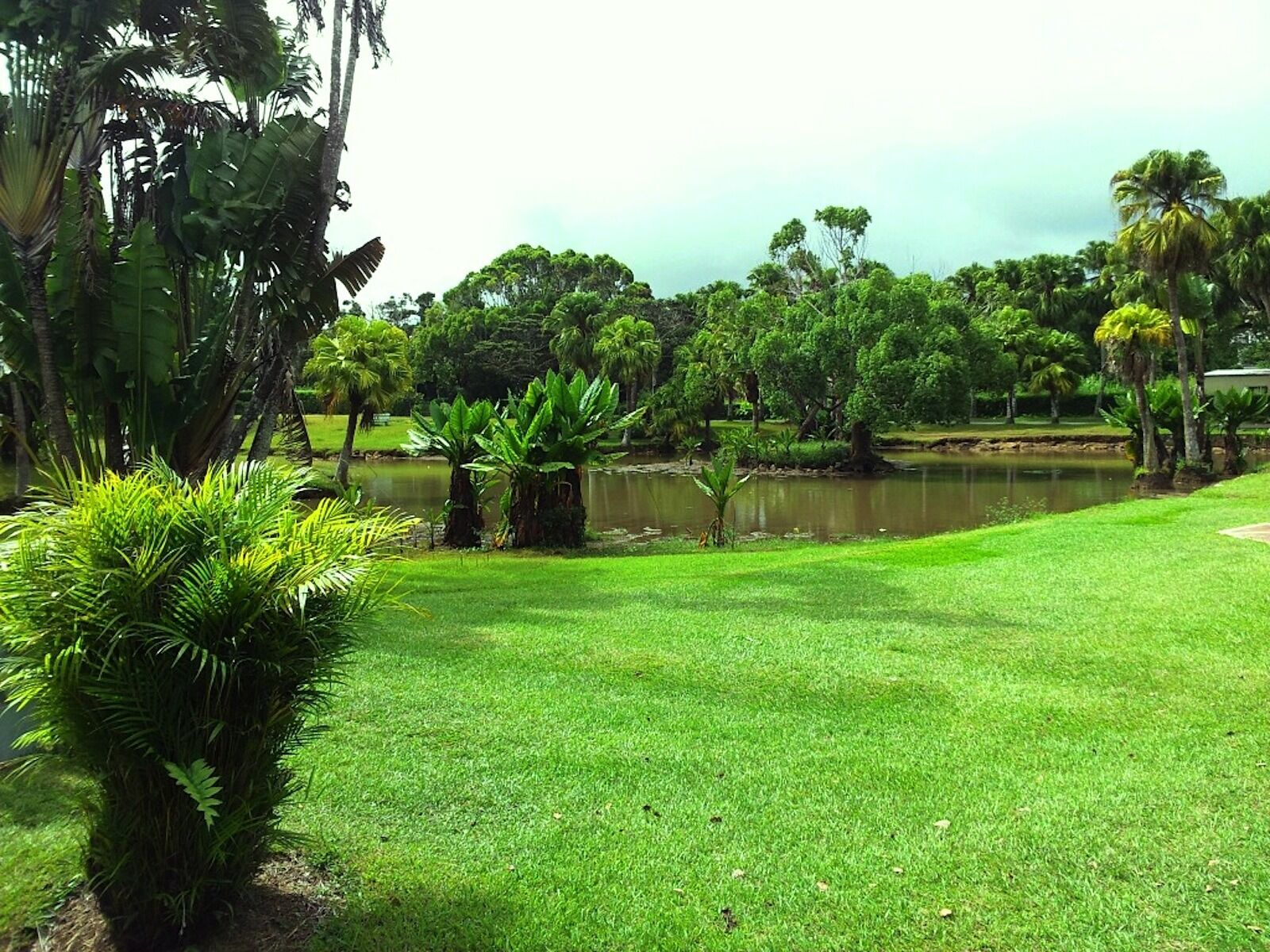 Samsung Galaxy S2 sample photo. Landscape, grass, trees photography