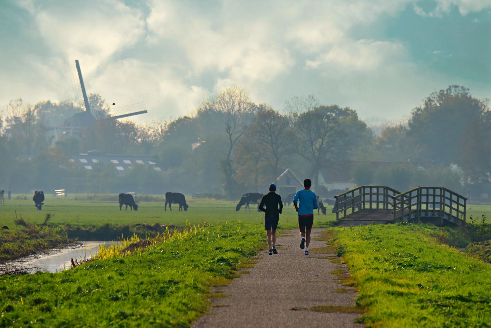 Nikon D750 sample photo. People, running, road photography