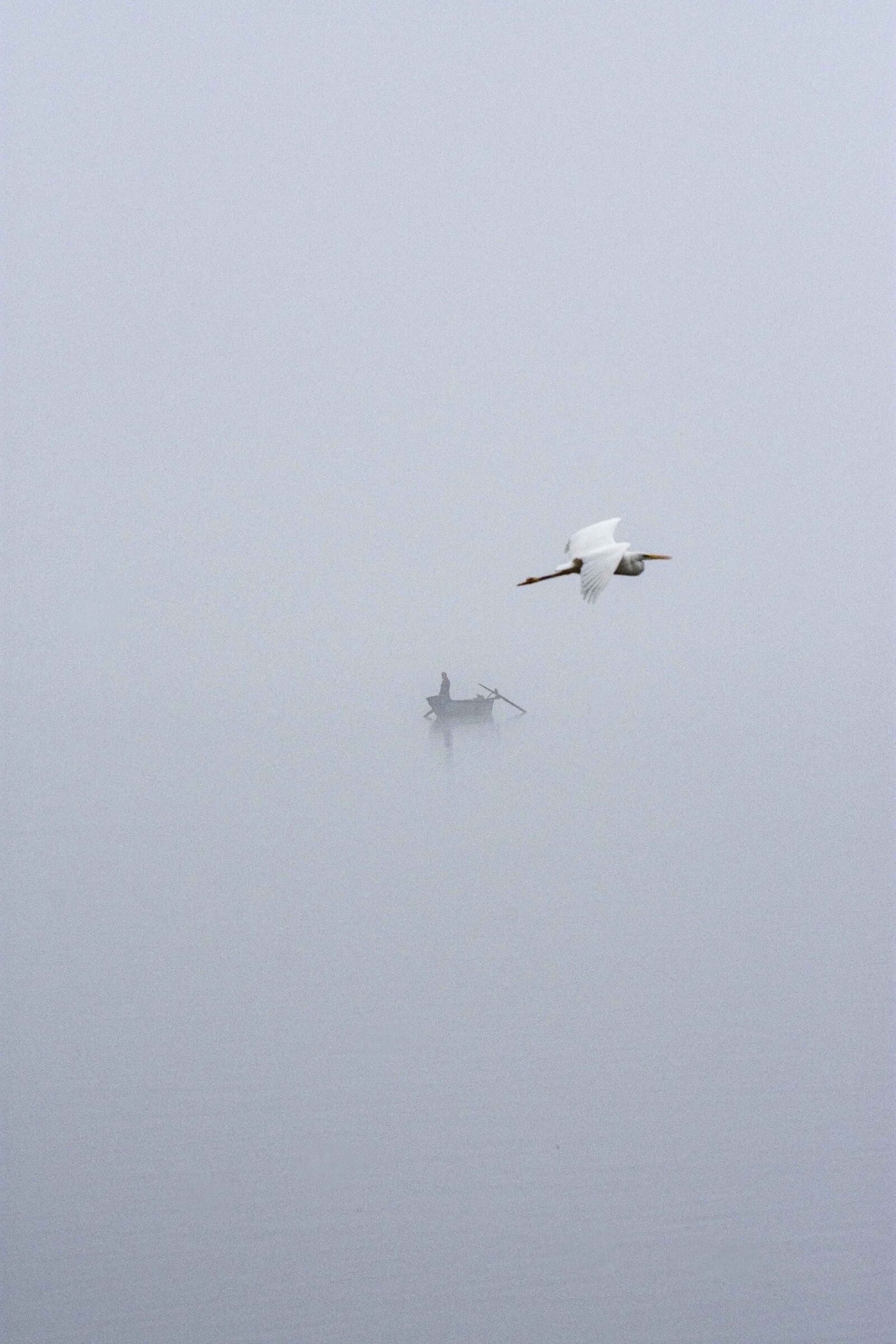 Nikon D7200 sample photo. Fog, heron, lake photography