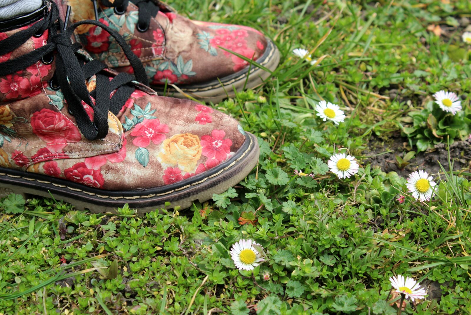 Canon EOS 1200D (EOS Rebel T5 / EOS Kiss X70 / EOS Hi) sample photo. Grass, meadow, daisies photography