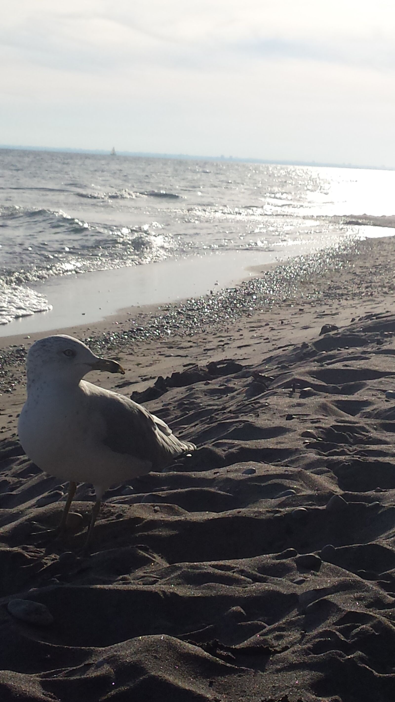 Samsung Galaxy S4 sample photo. Nature is always your photography