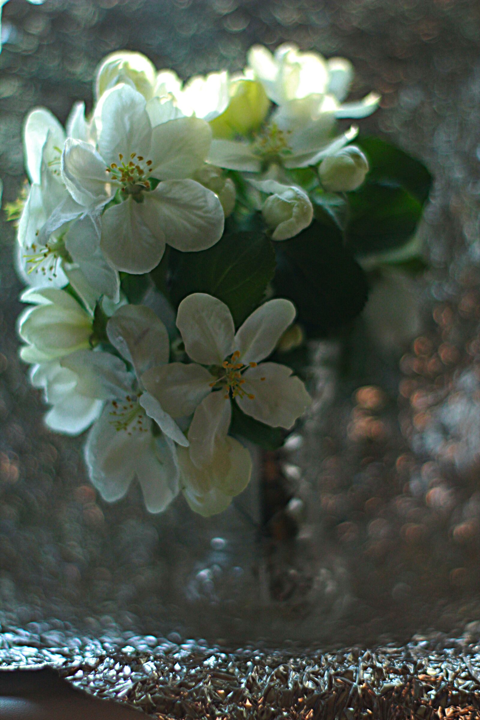Canon EOS 1200D (EOS Rebel T5 / EOS Kiss X70 / EOS Hi) sample photo. Bouquet, flowers, spring photography
