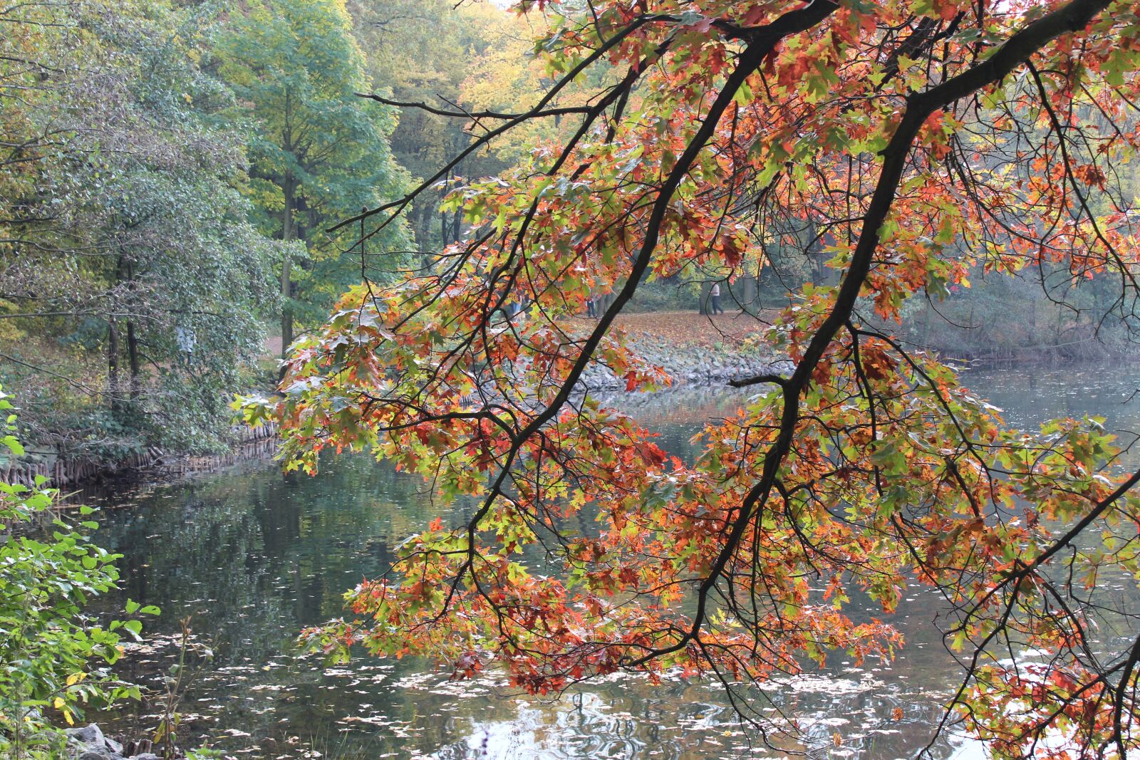 Canon EOS 600D (Rebel EOS T3i / EOS Kiss X5) sample photo. Lake, tree, water photography