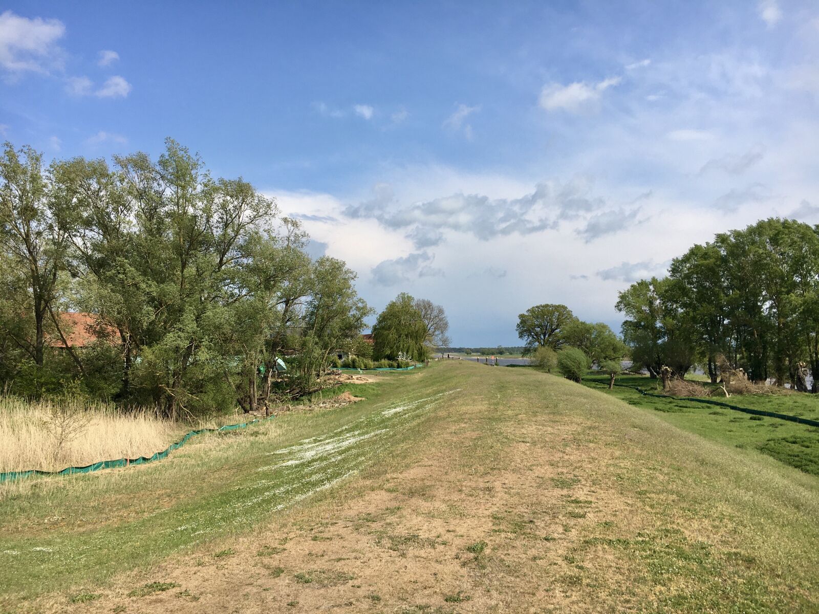 Apple iPhone 6s sample photo. Dike, elbe, brandenburg photography
