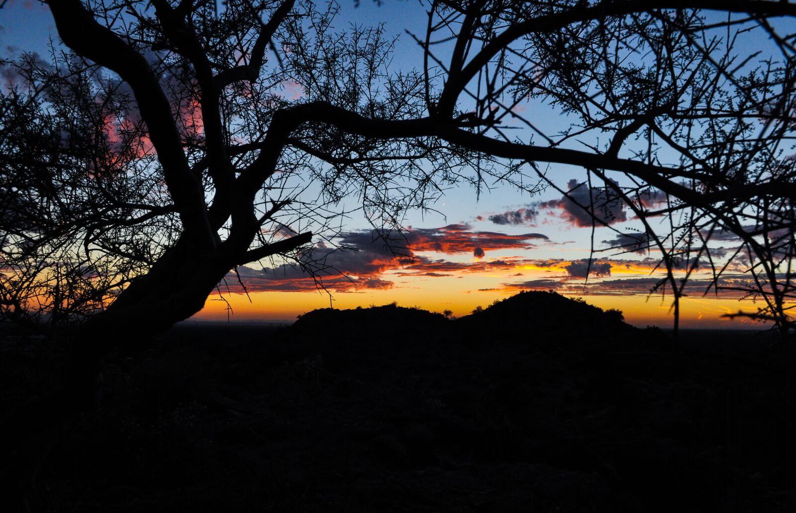 Nikon D90 sample photo. Sunset, arizona, desert photography