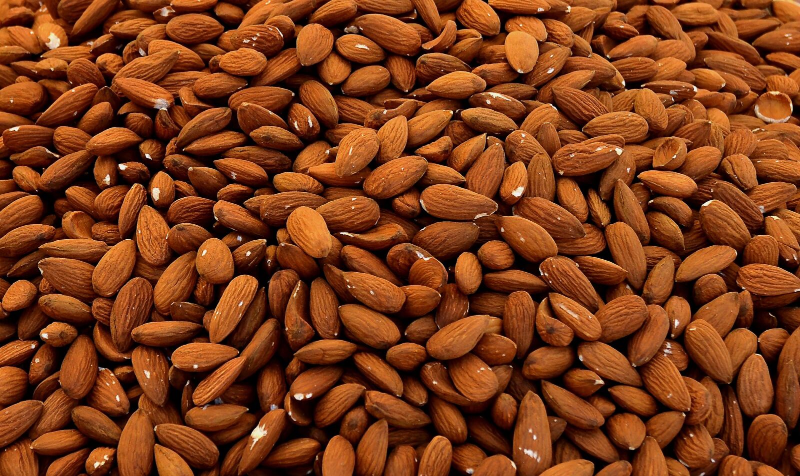 Nikon D3200 sample photo. Almonds, cores, nuts photography