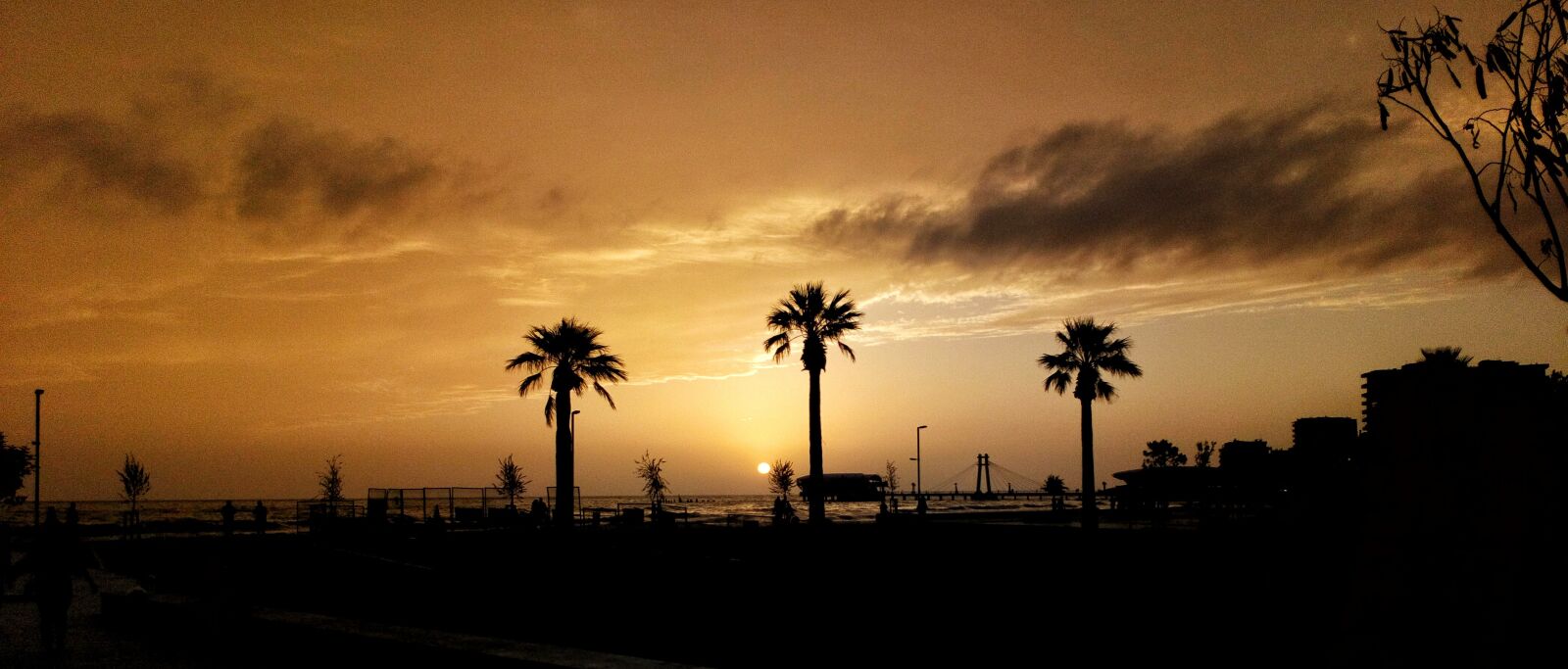 Sony Xperia L1 sample photo. Palm, sunset, beach photography