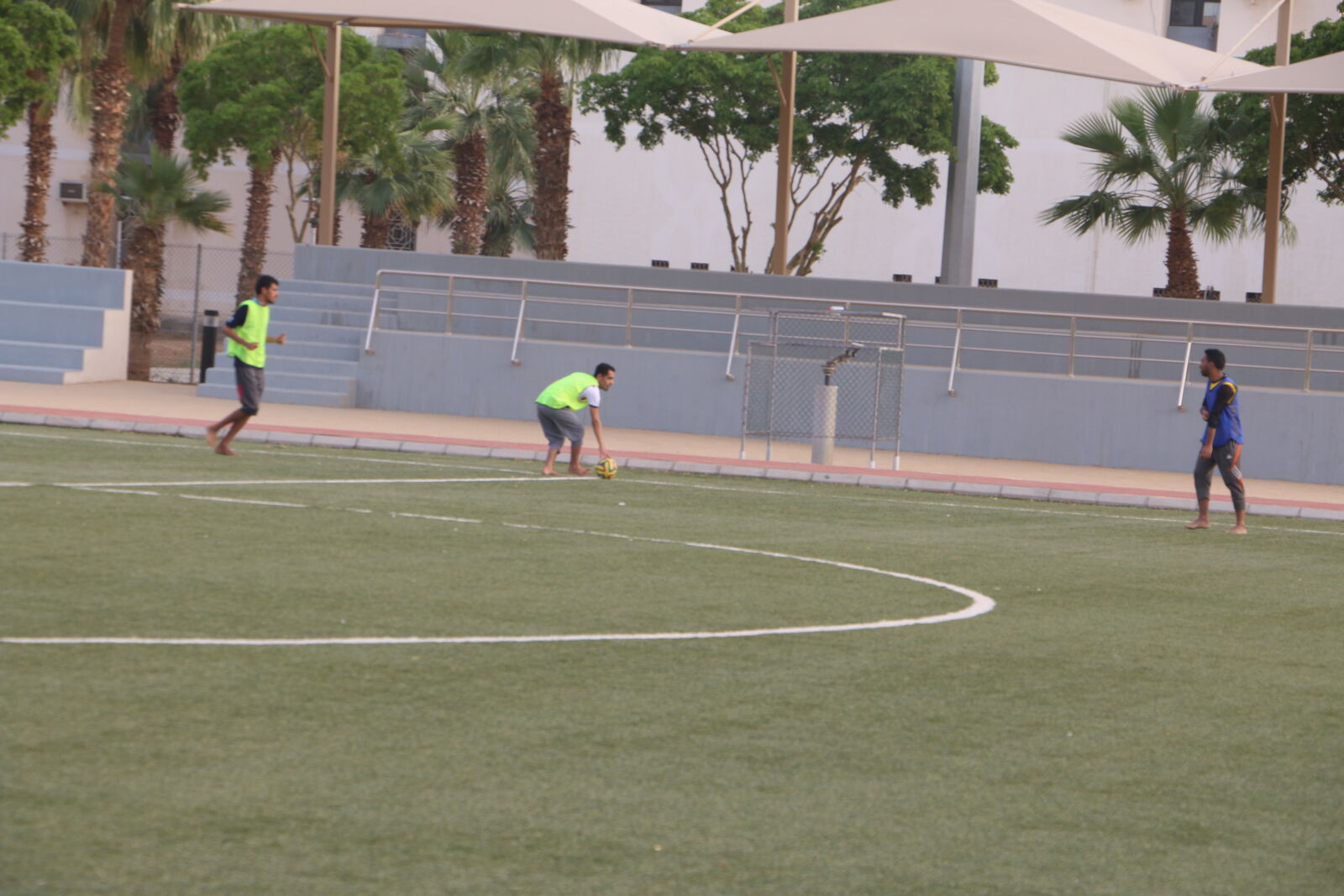 Canon EOS 70D sample photo