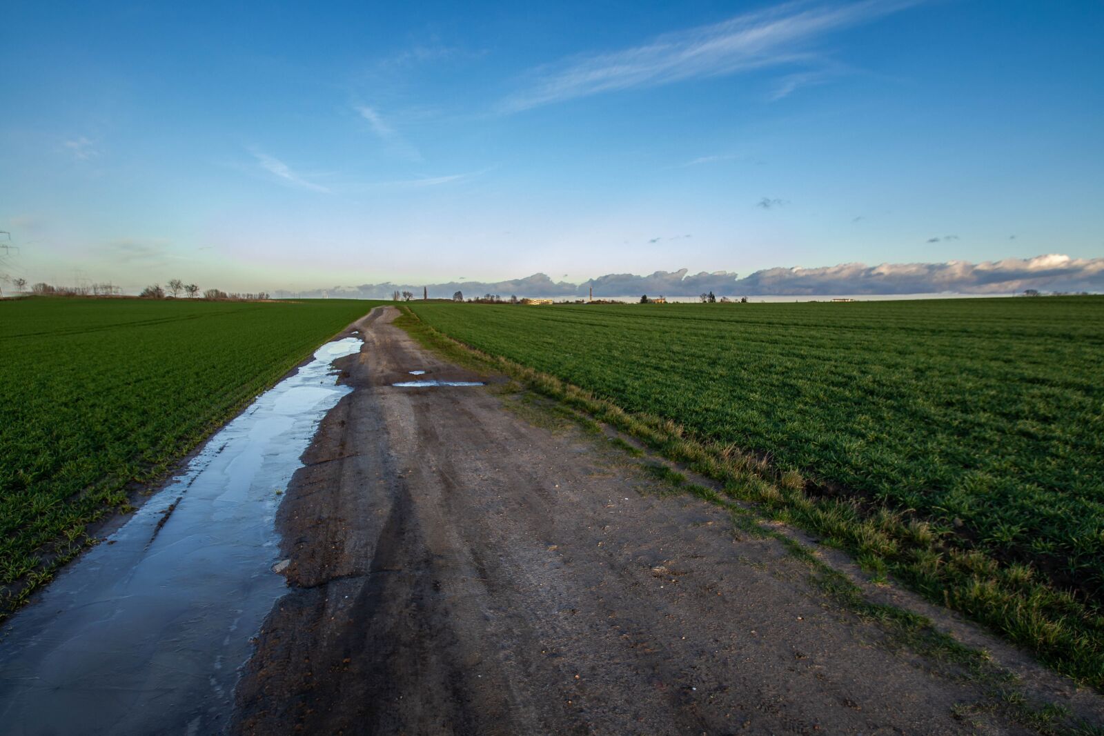 Nikon D3100 sample photo. Land route, ice, seed photography