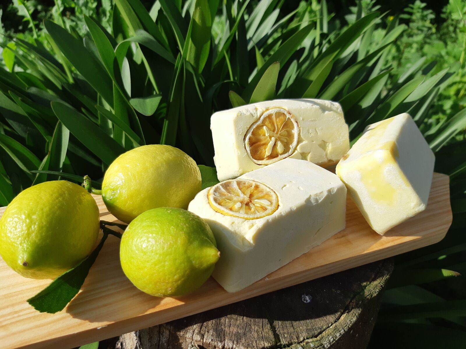 Samsung Galaxy A8(2018) sample photo. Soap, lemon, nature photography