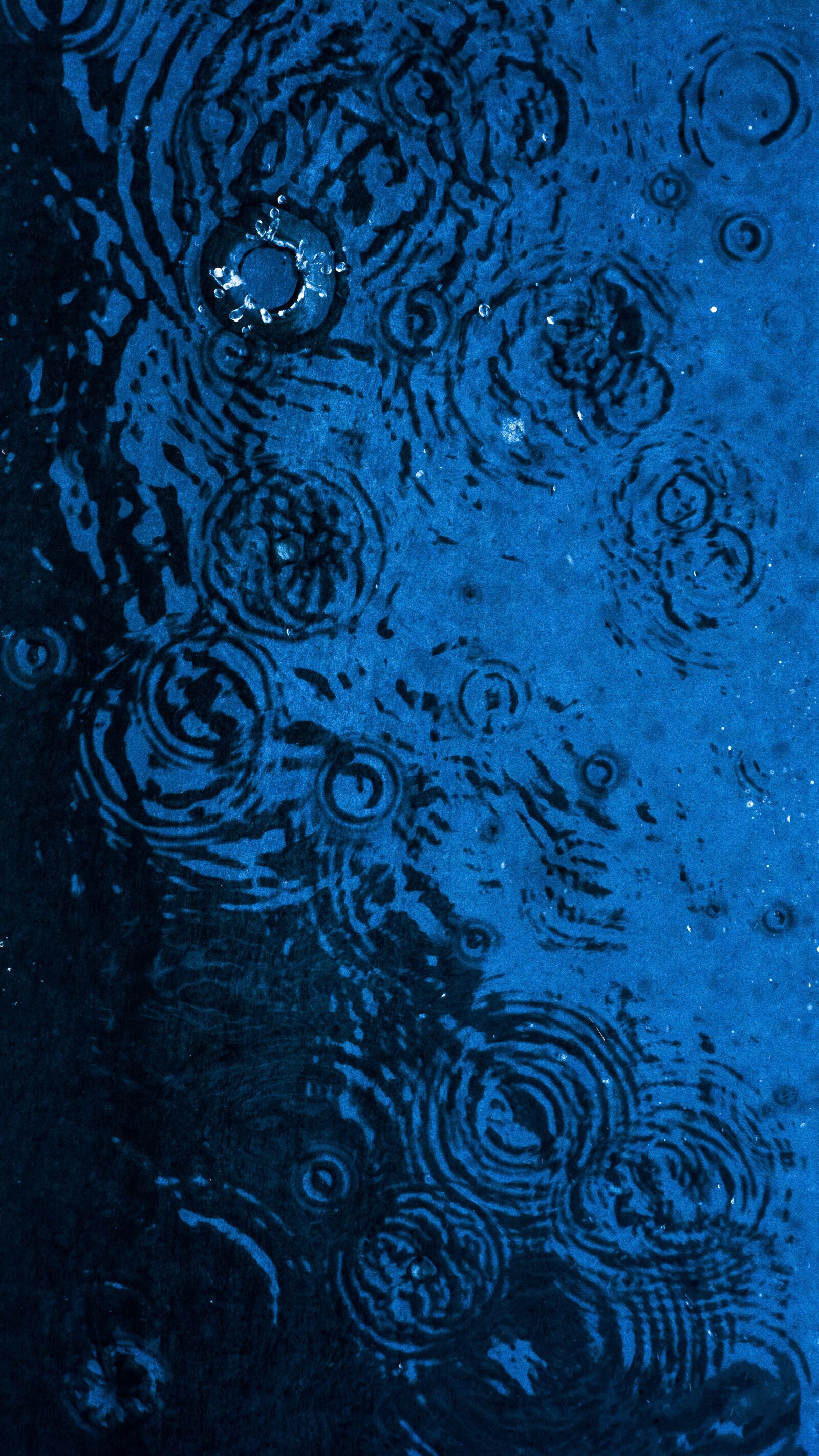 Nikon D5200 sample photo. Water, droplets, rain photography