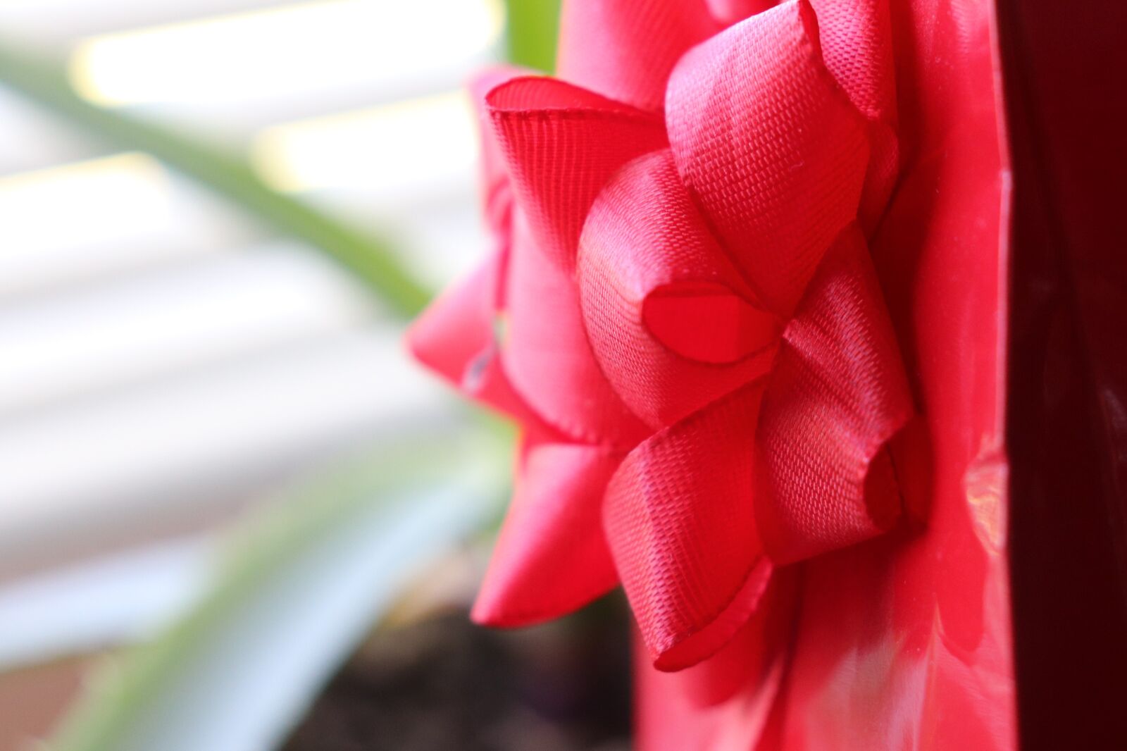 Canon EOS 800D (EOS Rebel T7i / EOS Kiss X9i) sample photo. Ribbon, tie, bow photography