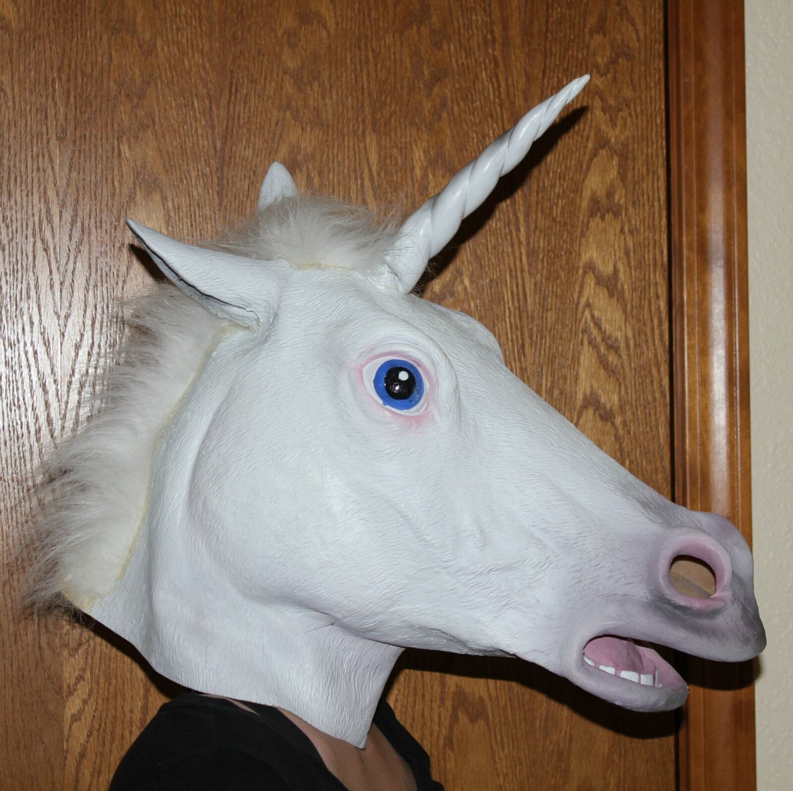 Canon EOS 550D (EOS Rebel T2i / EOS Kiss X4) sample photo. Unicorn, mask, animal photography