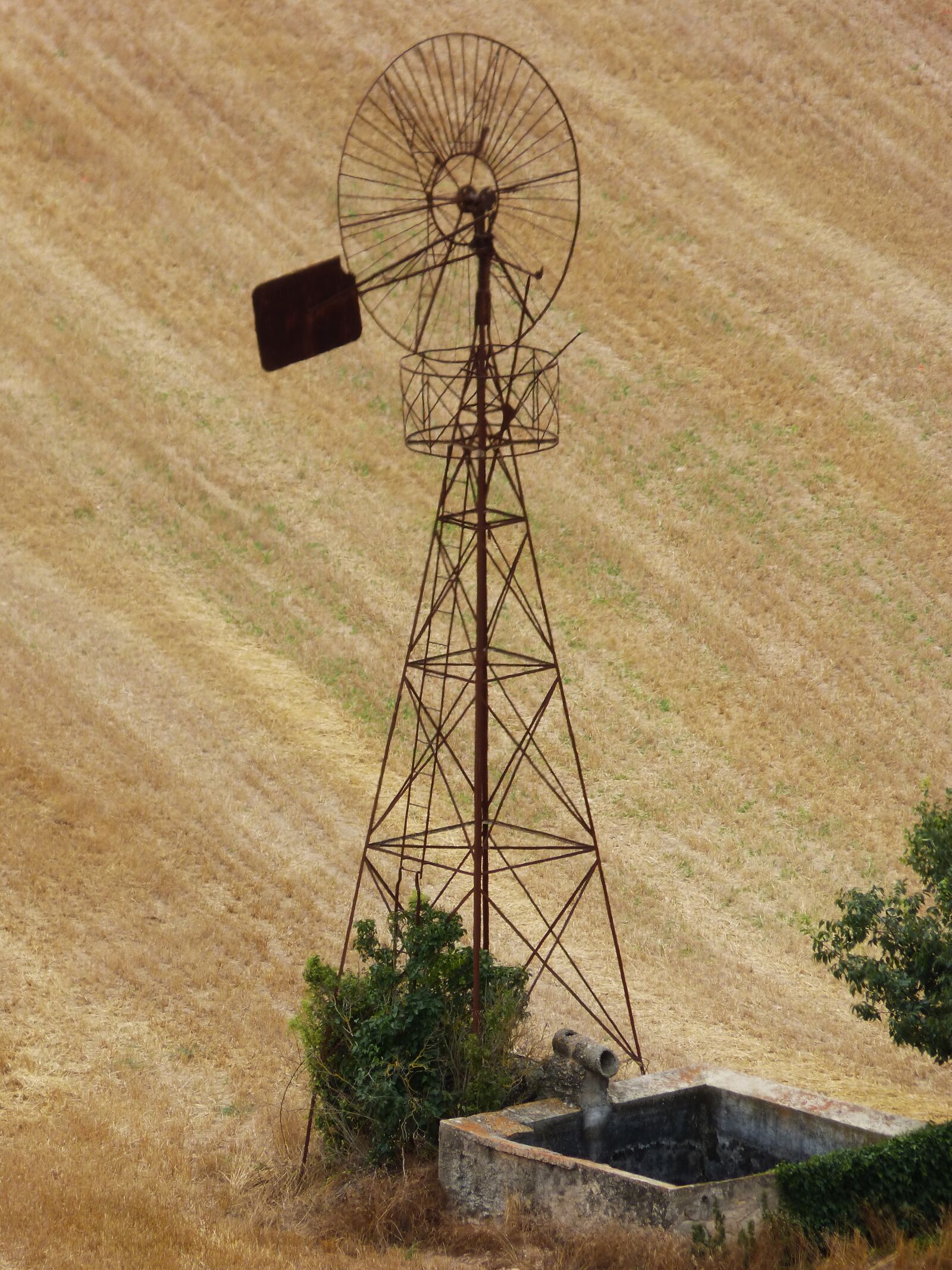 Panasonic DMC-FZ62 sample photo. Mill, cornfield, field of photography