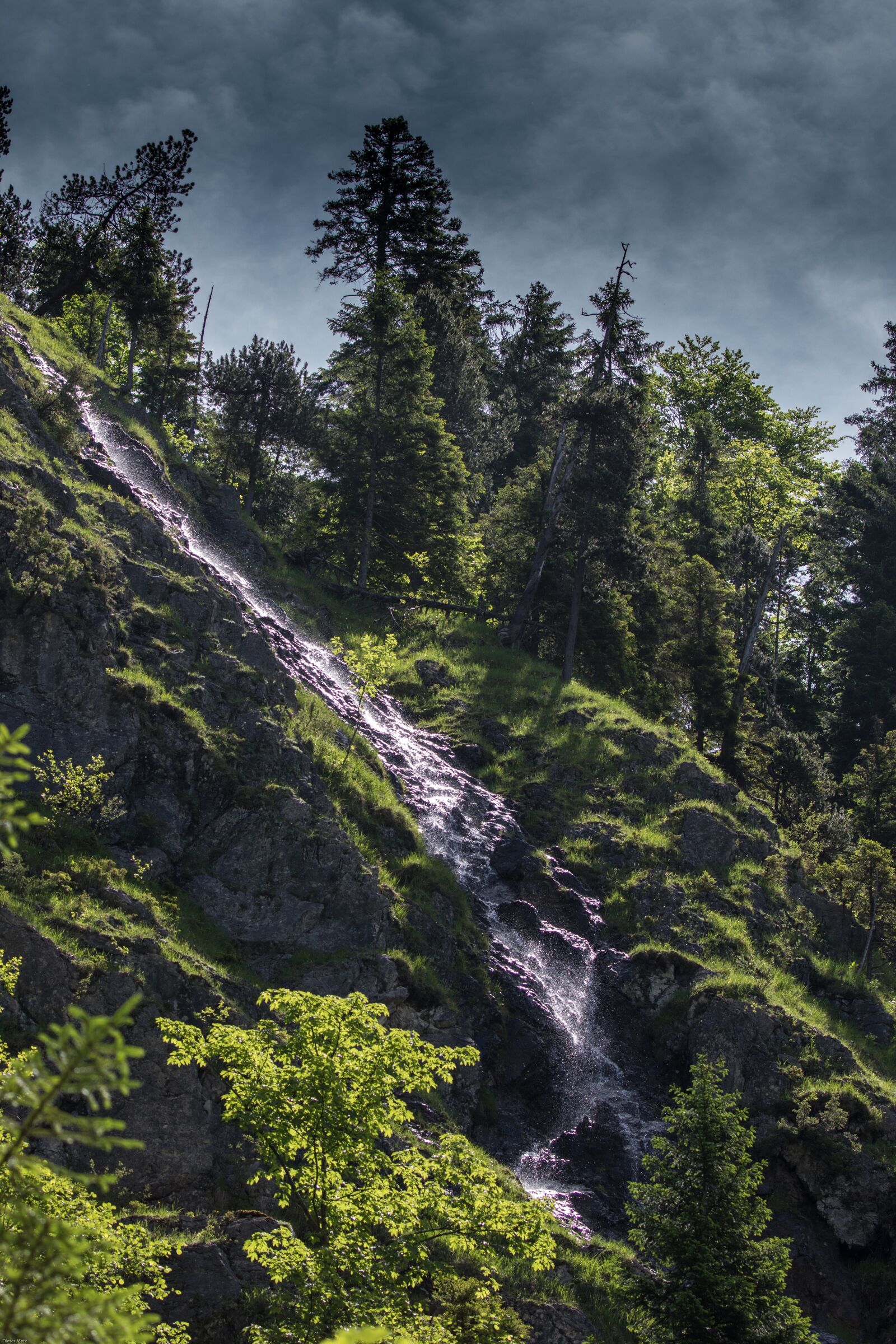 Canon EOS 7D Mark II sample photo. White water, forest, mountain photography