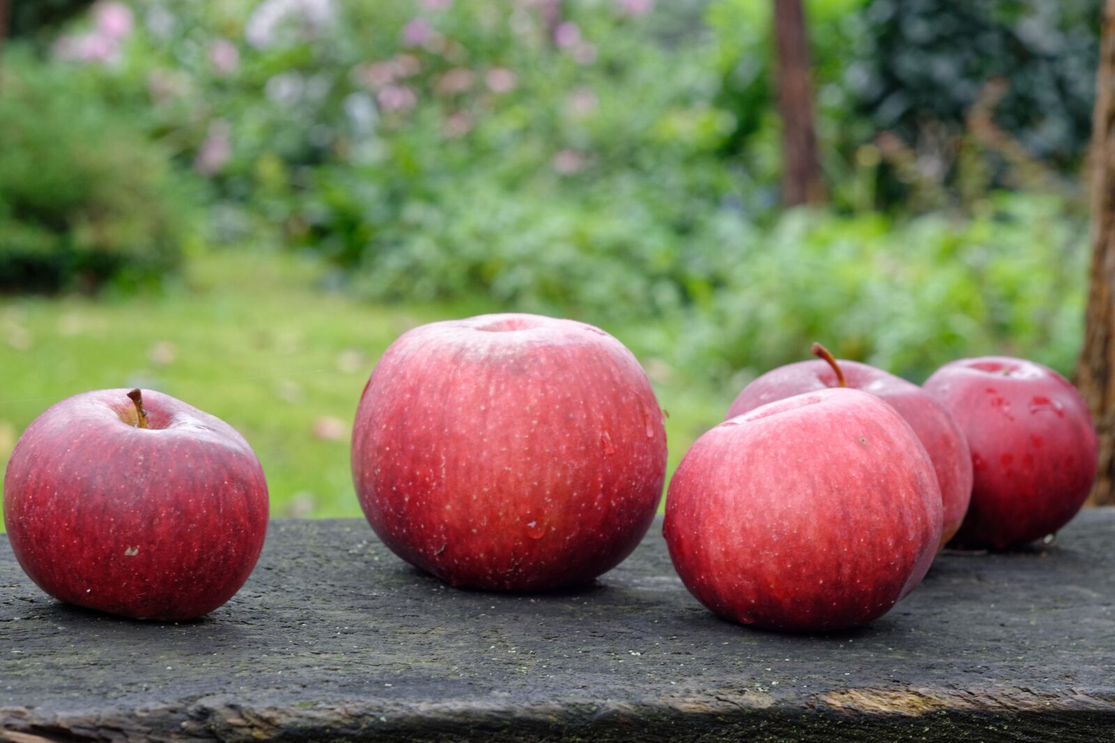 Nikon D5200 sample photo. Apple, apples, fruit photography