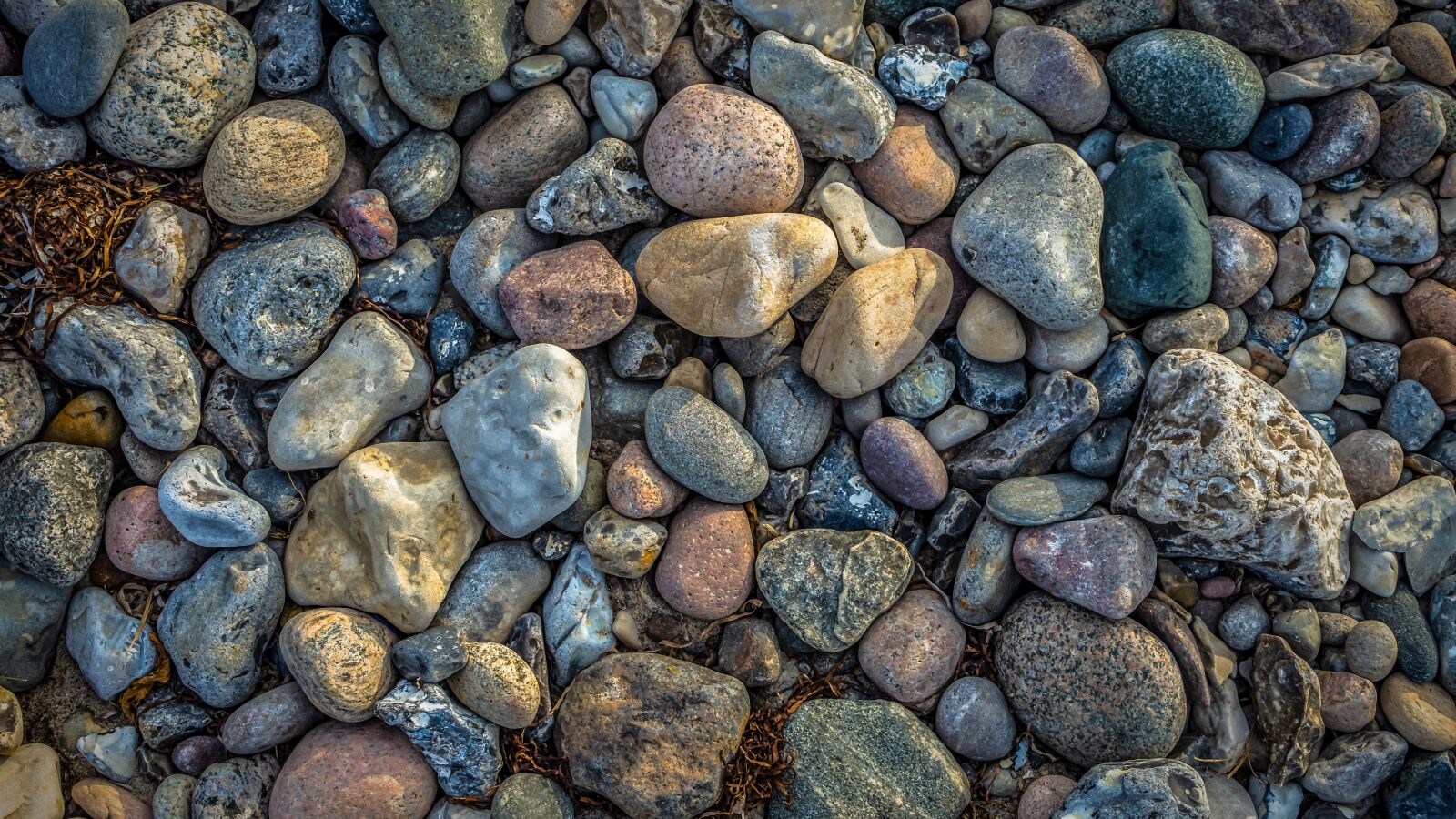 Sony a7 II sample photo. Stones, kiselsteine, colorful photography