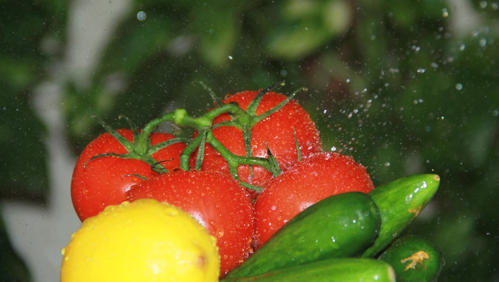 Canon EF-S 18-135mm F3.5-5.6 IS sample photo. Fresh, cucumber, tomato photography
