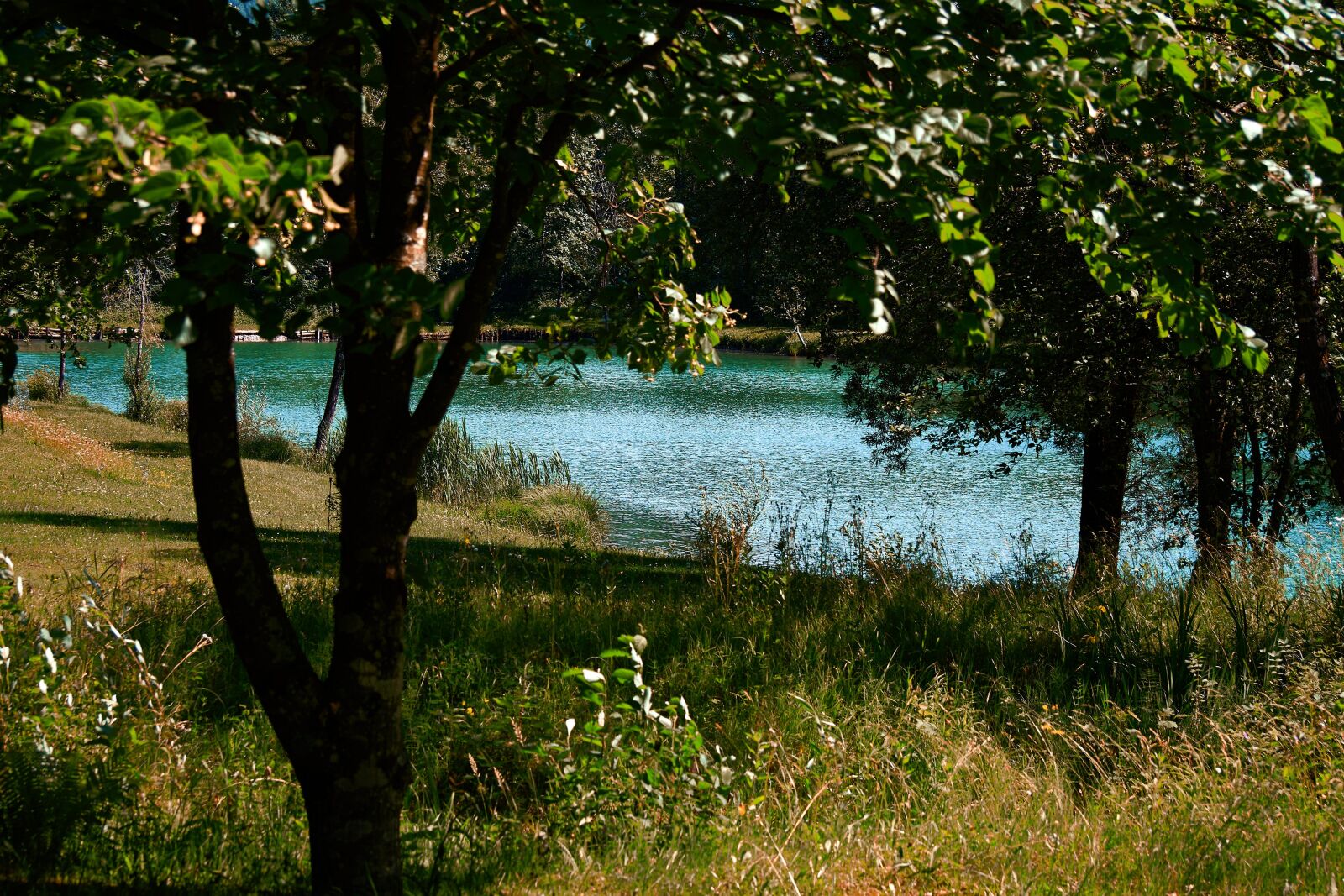 Sony ILCA-77M2 + Sony DT 55-300mm F4.5-5.6 SAM sample photo. Landscape, lake, water photography