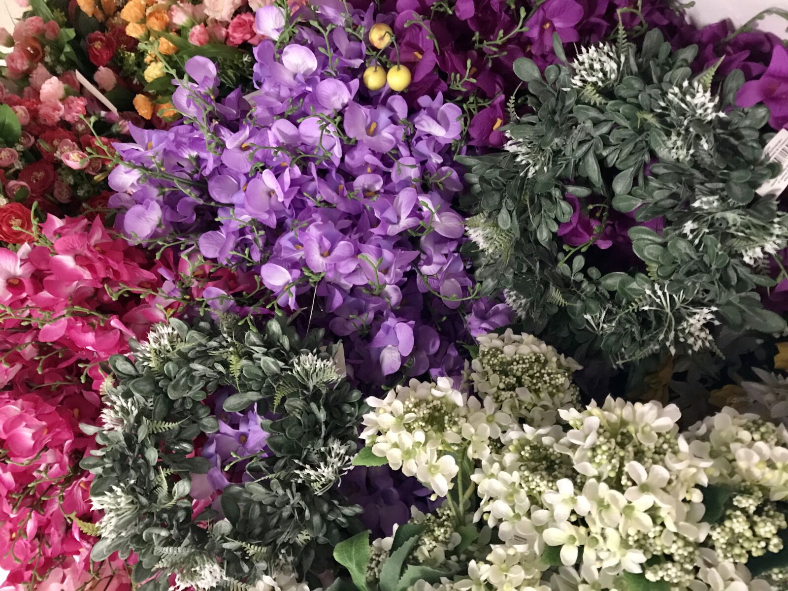 iPhone 7 back camera 3.99mm f/1.8 sample photo. Decoration, decorative, green photography