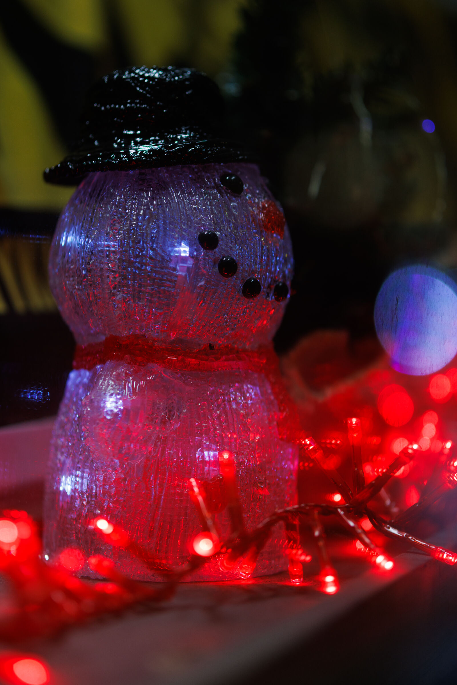 Sigma 56mm F1.4 DC DN | C sample photo. Christmas decoration photography