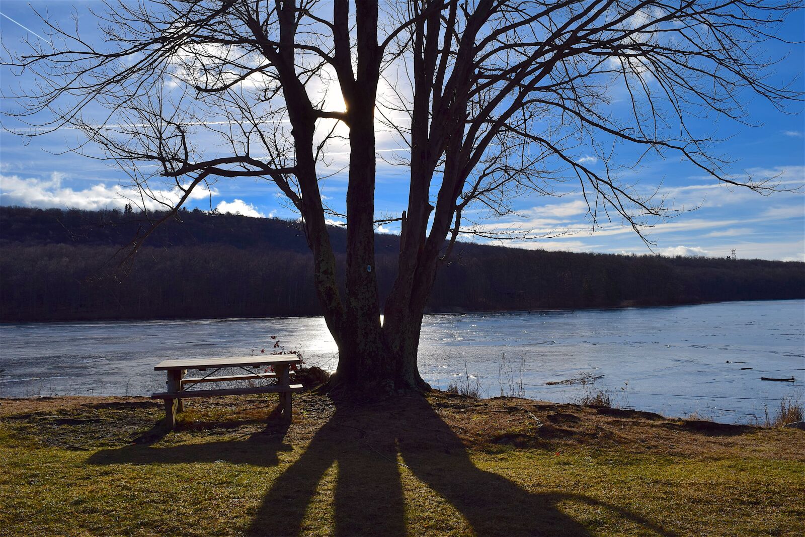 Nikon D3300 sample photo. Tree, shadow, lake photography