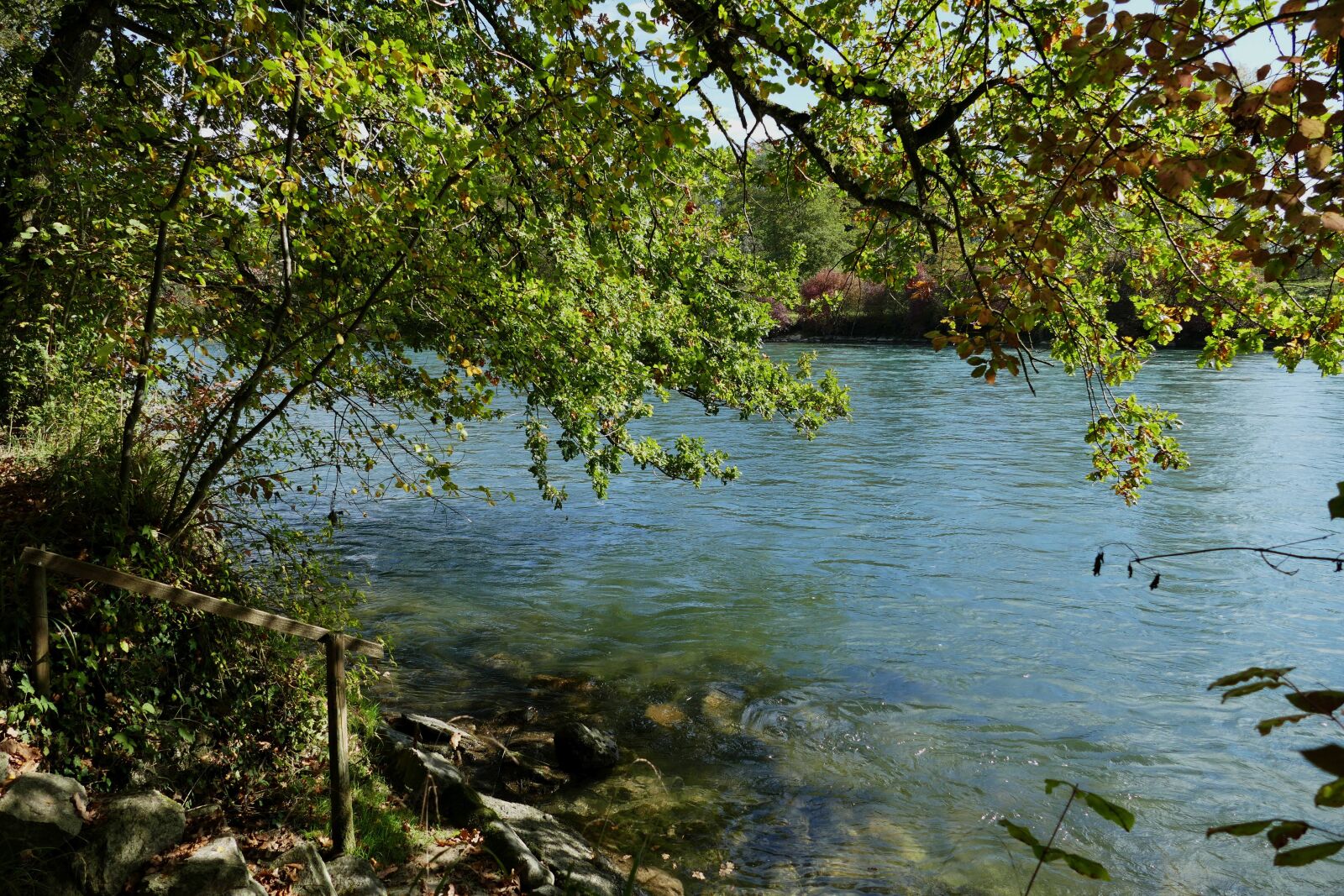 Panasonic Lumix DMC-FZ1000 sample photo. River, bank, autumn photography