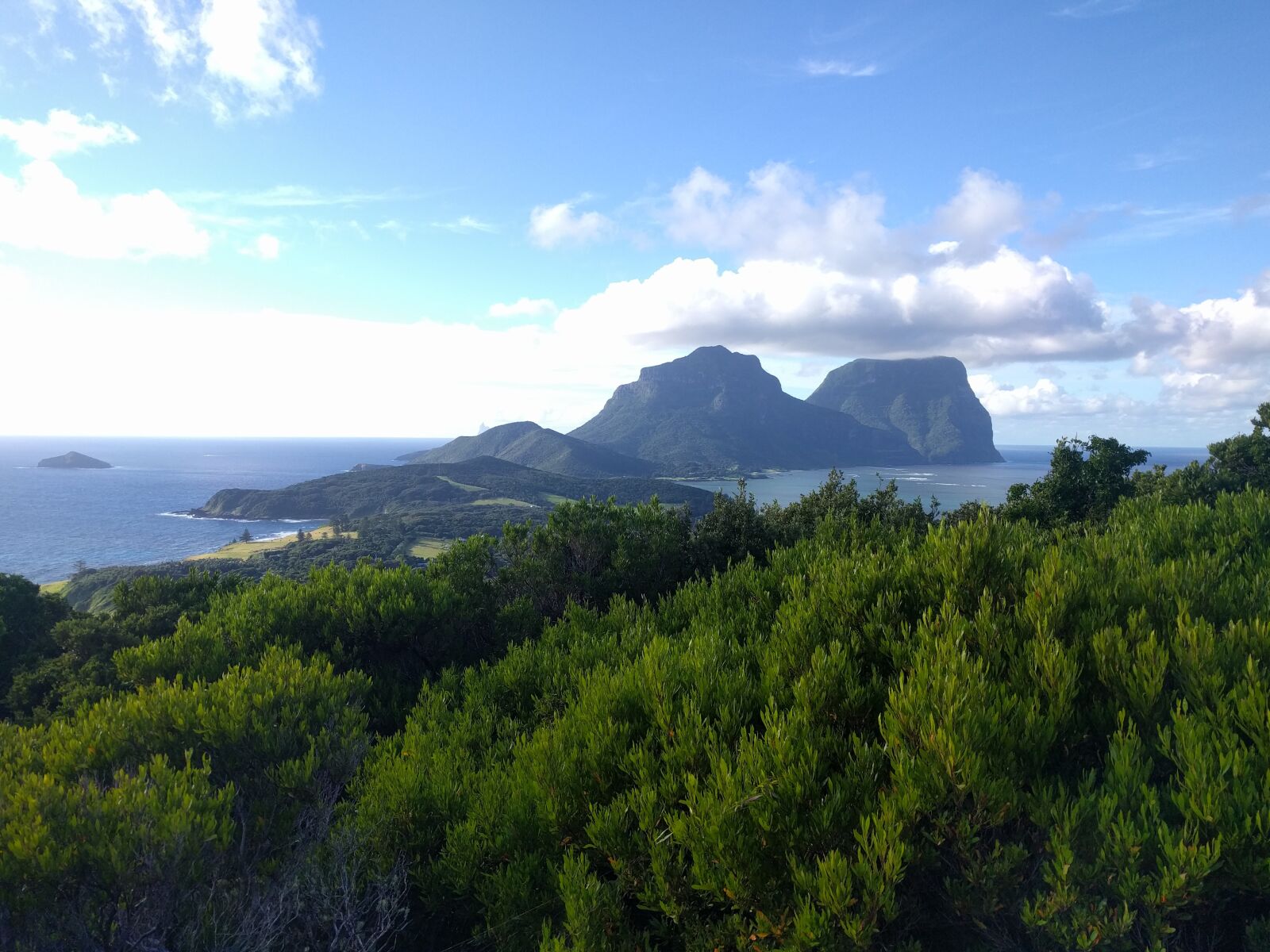 LG Nexus 5X sample photo. Ocean, mountain, bush photography
