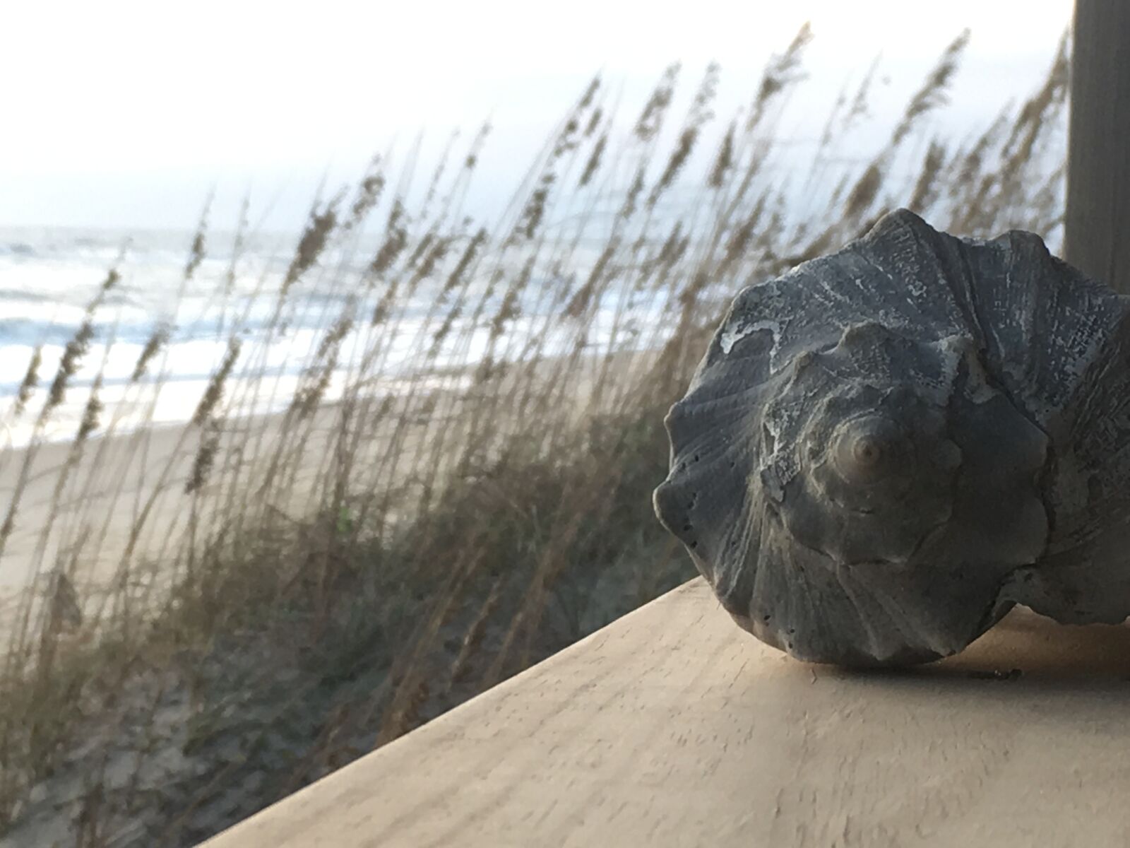 iPhone 6s back camera 4.15mm f/2.2 sample photo. Beach, by, the, sea photography