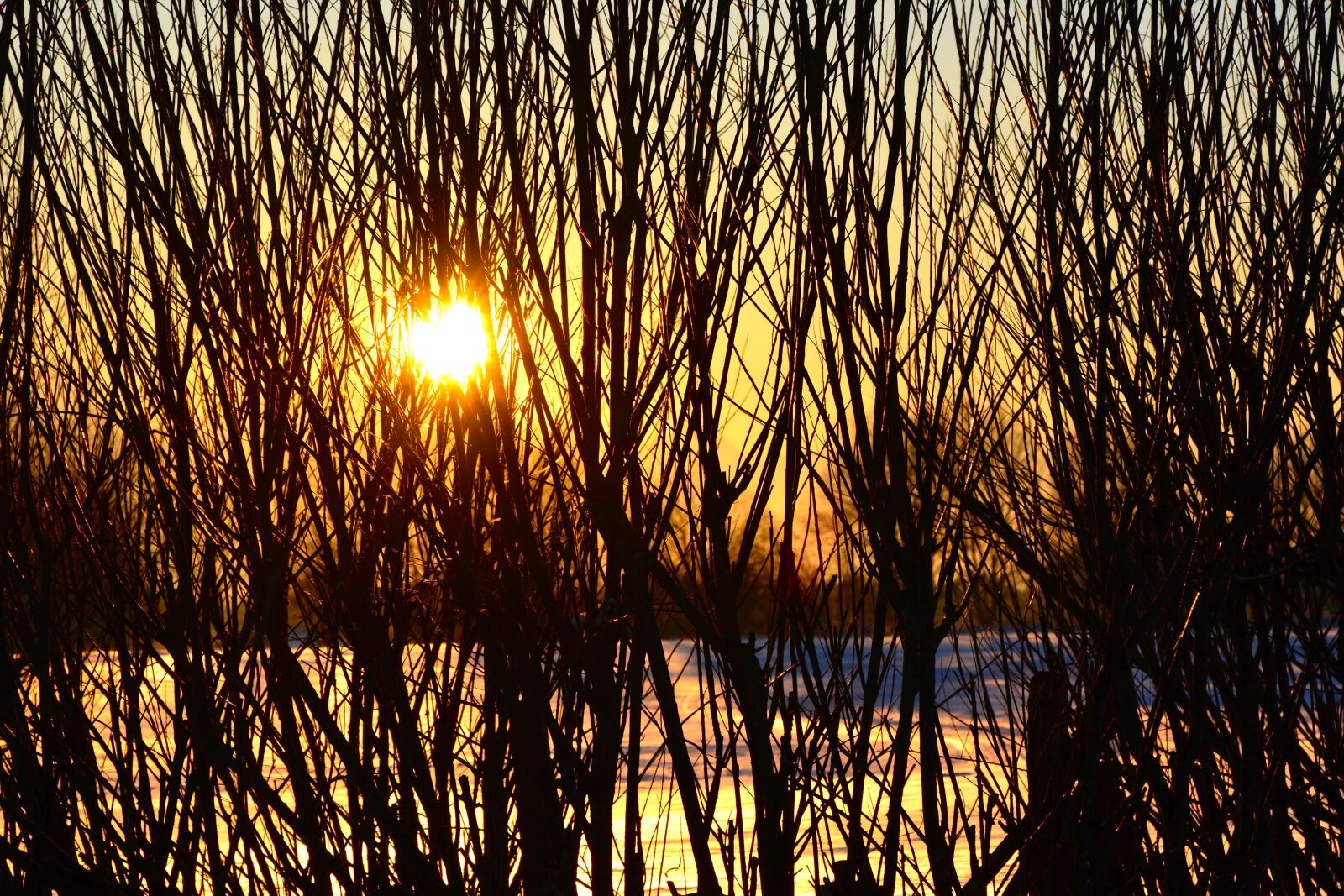 Nikon D5200 sample photo. Sunset, winter, wintry photography