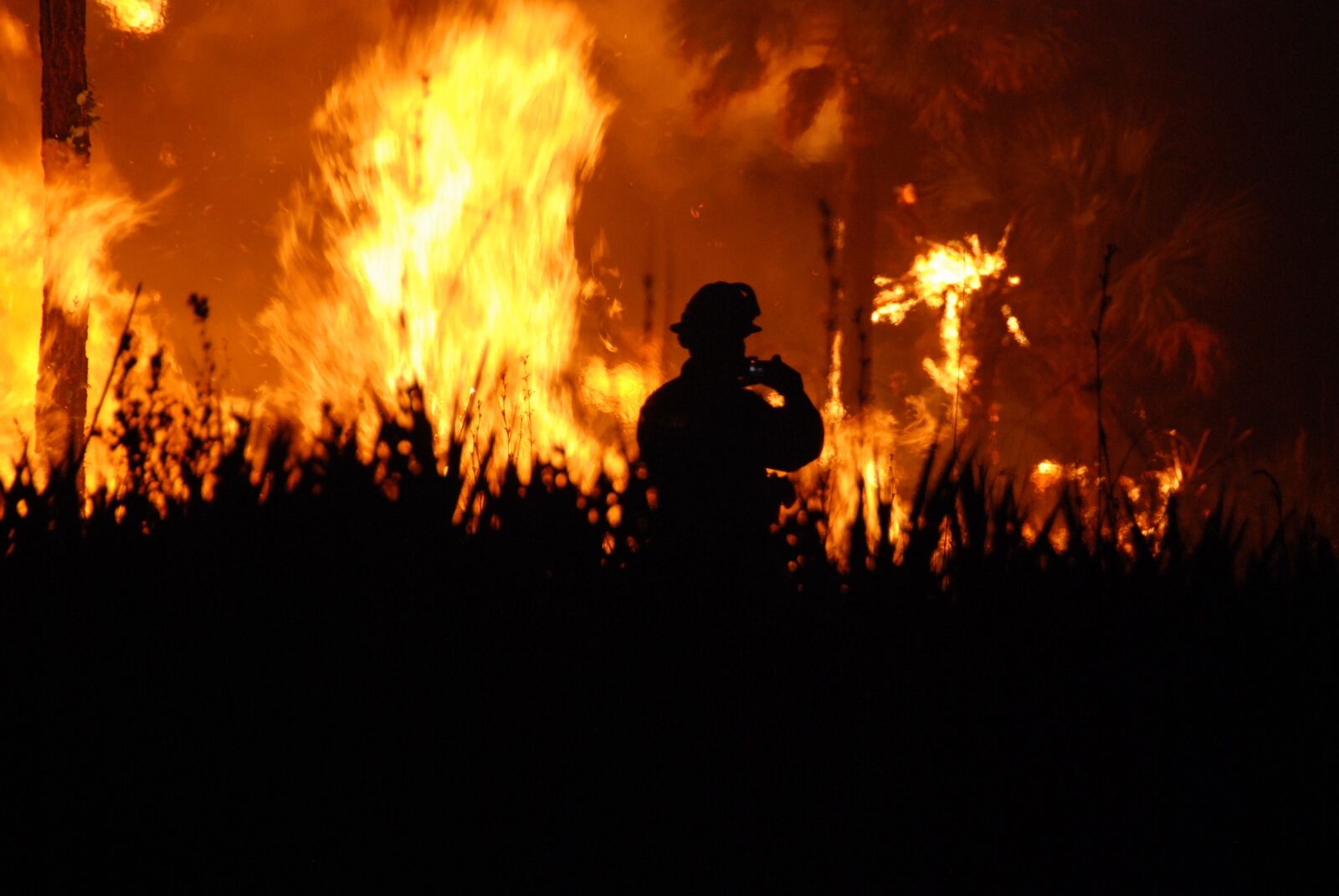 Nikon D80 sample photo. Fire, flames, night photography