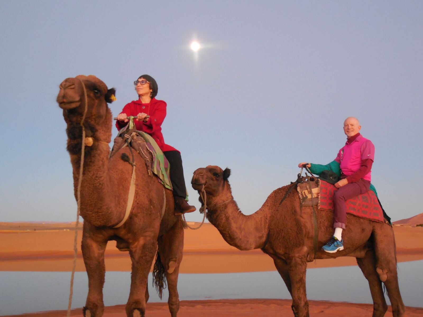 Nikon Coolpix L610 sample photo. Rabat morocco, camels, moroccan photography