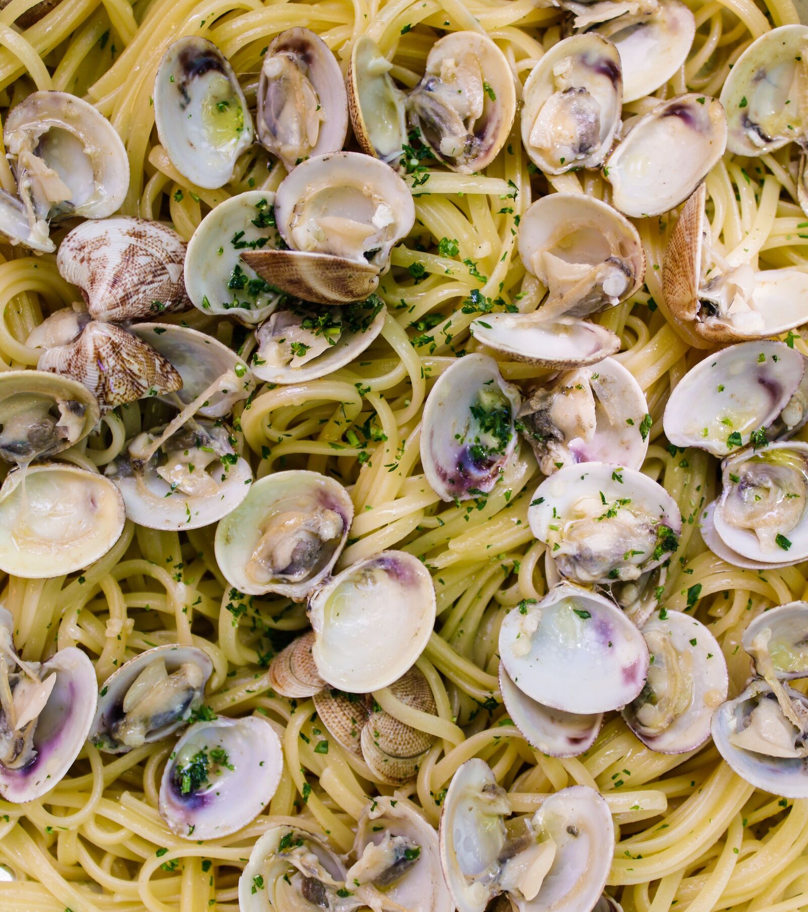Canon EOS 1300D (EOS Rebel T6 / EOS Kiss X80) sample photo. Pasta, spaghetti, clams photography