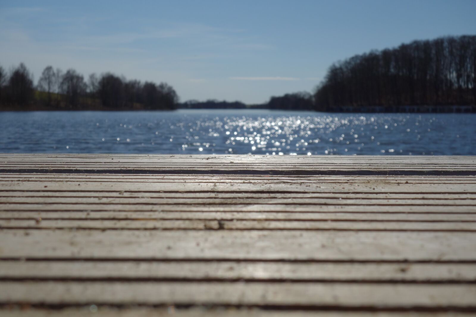 Sony Cyber-shot DSC-RX100 sample photo. Waters, nature, wood photography