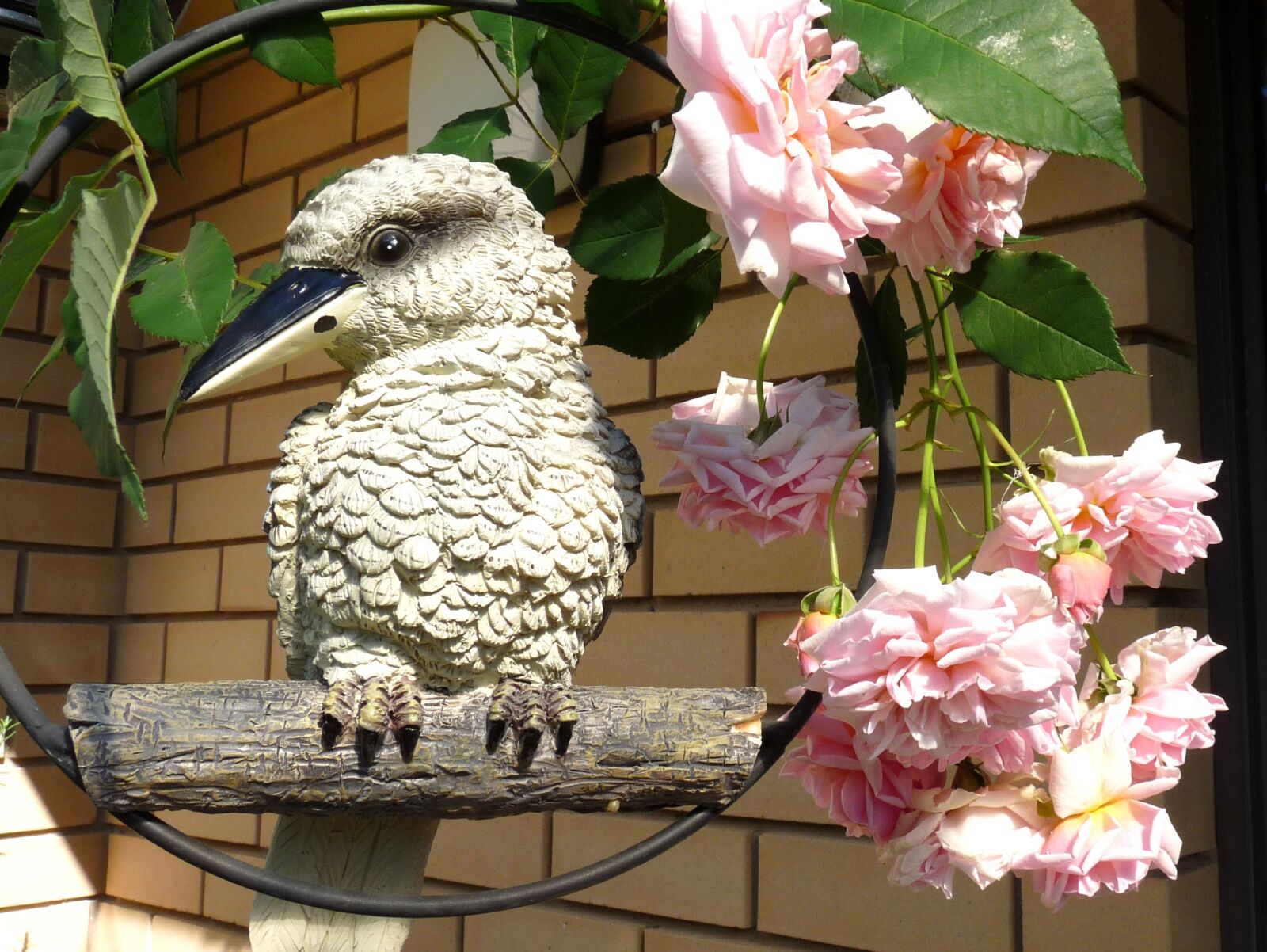 Panasonic Lumix DMC-FZ28 sample photo. Kookaburra, ornament, decoration photography