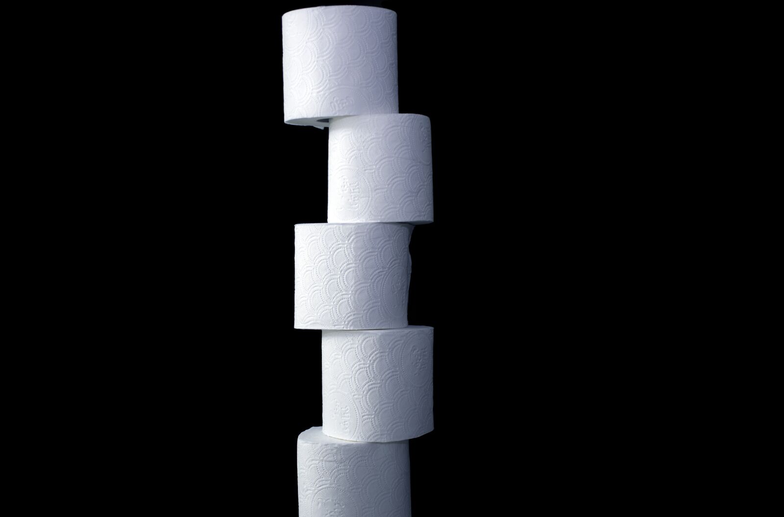 Nikon D5600 sample photo. Toilet paper, loo, coming photography