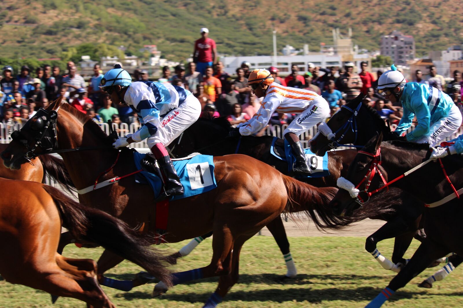 Canon EOS 1200D (EOS Rebel T5 / EOS Kiss X70 / EOS Hi) sample photo. Jockey, horse, horse racing photography
