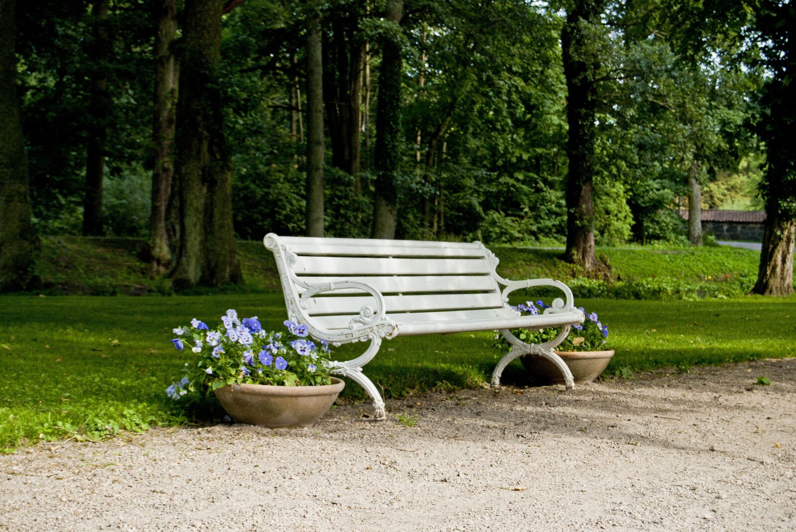 Nikon D40X sample photo. Park bench, bench, tree photography