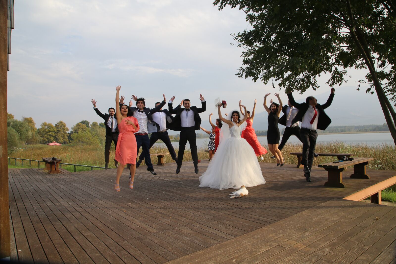 Canon EOS 5D Mark III sample photo. Guest cat, wedding ceremony photography