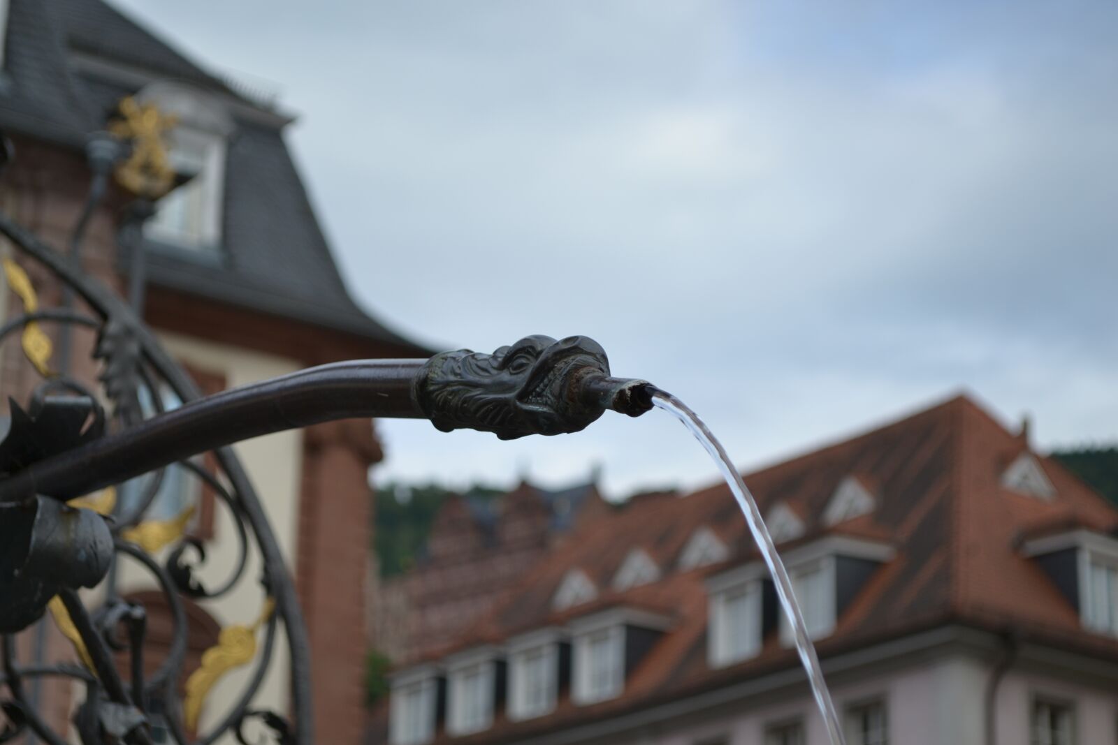 Nikon D3100 sample photo. Fountain, hercules fountain, heidelberg photography