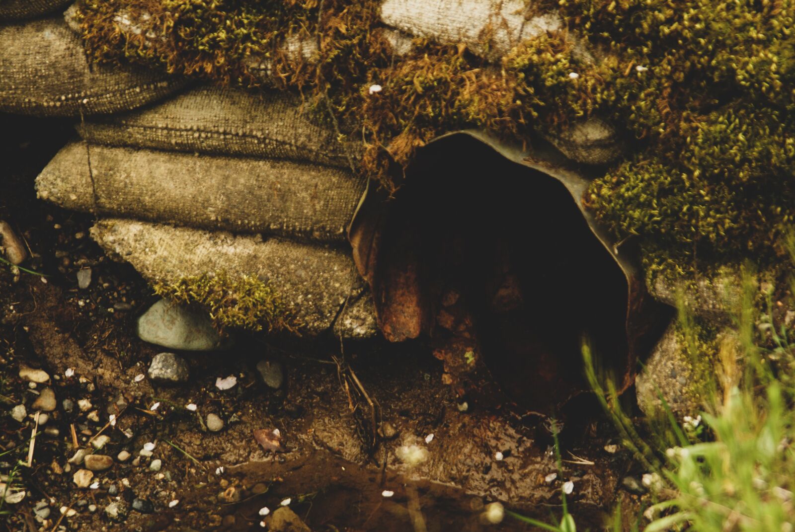 Sony Alpha DSLR-A200 sample photo. Culvert, pipe, ditch photography