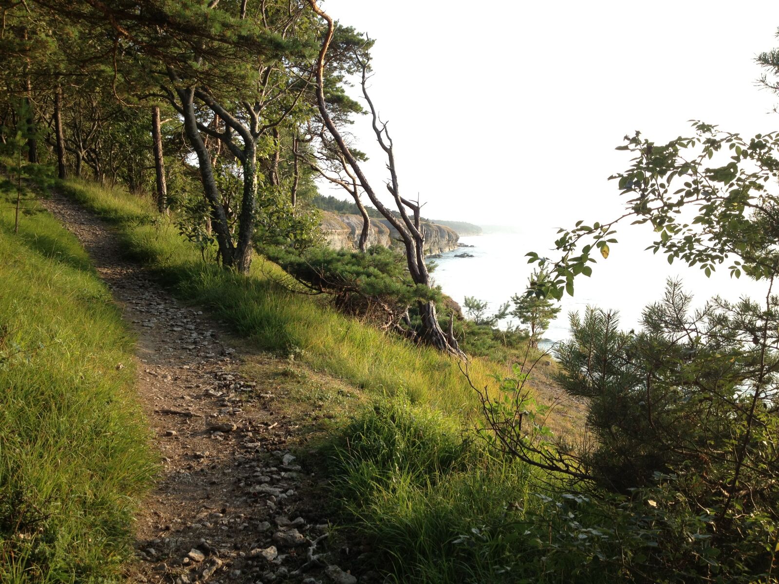 Apple iPhone 4S sample photo. Foot, path, gotland, island photography